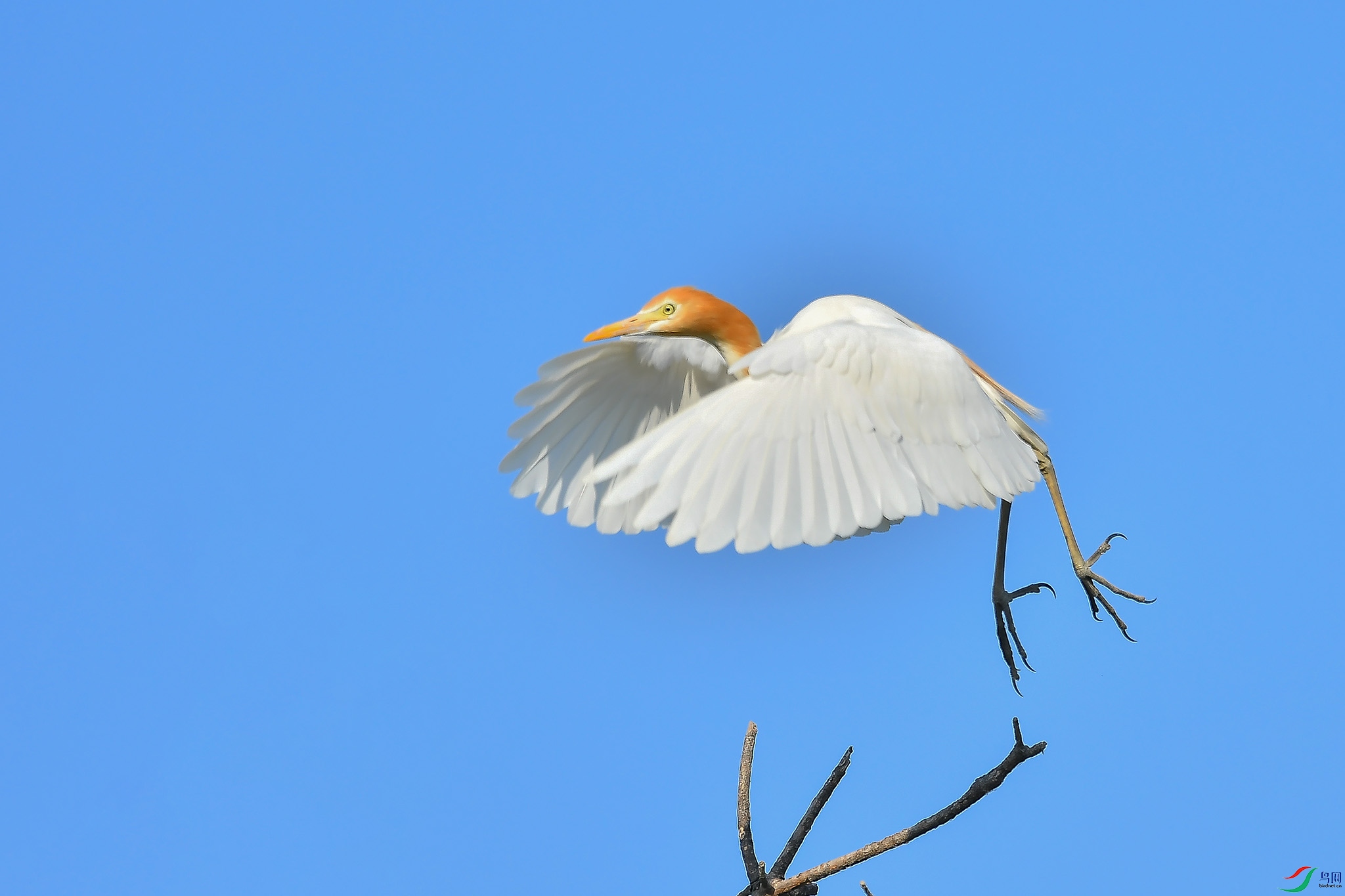 DSC_3759.JPG