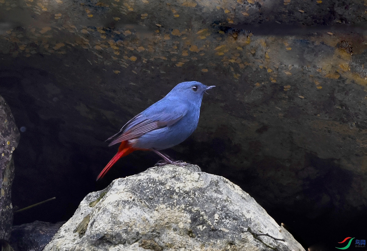 DSC_0634.JPG