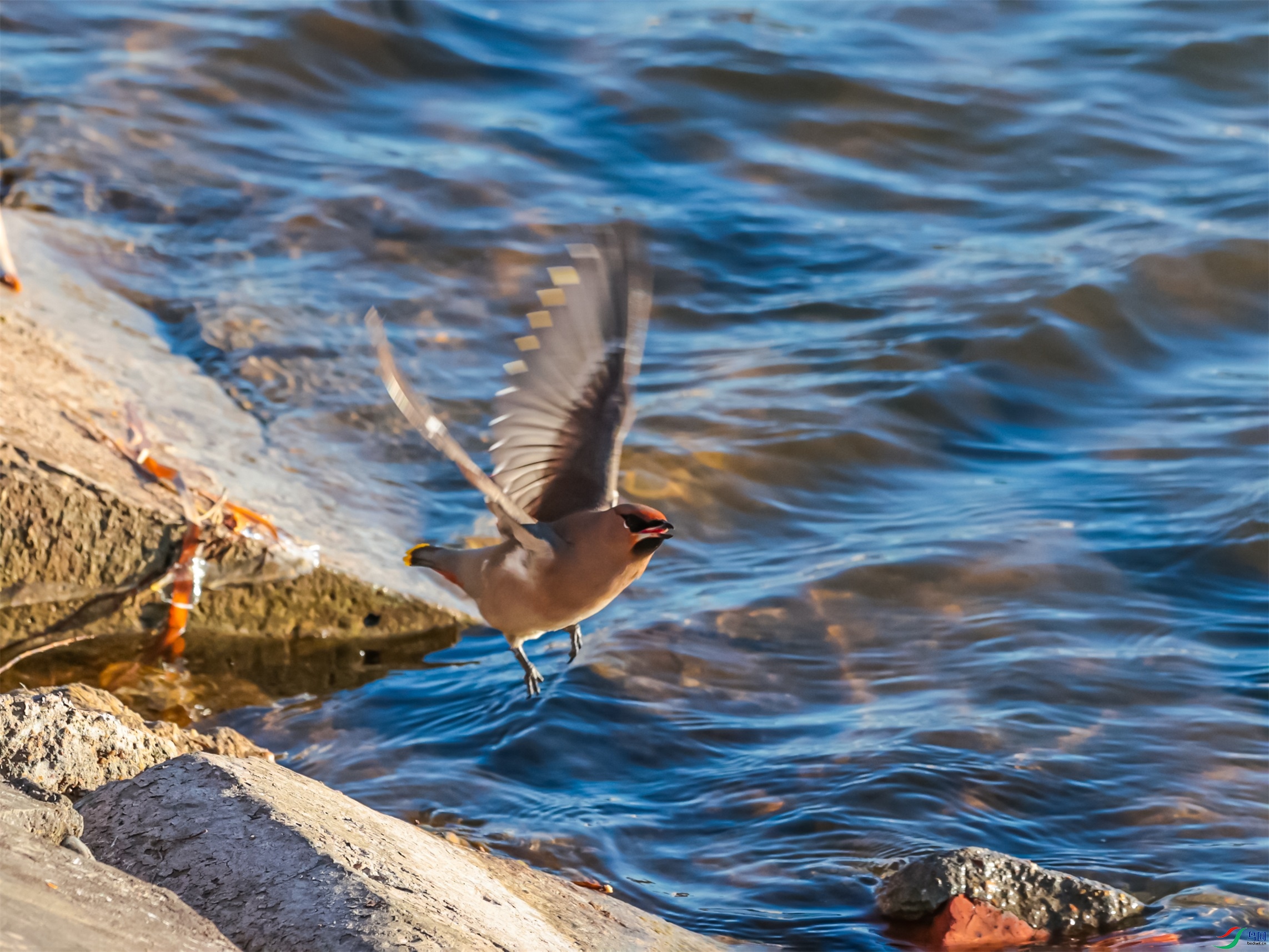 1K3A4748 ����1.jpg