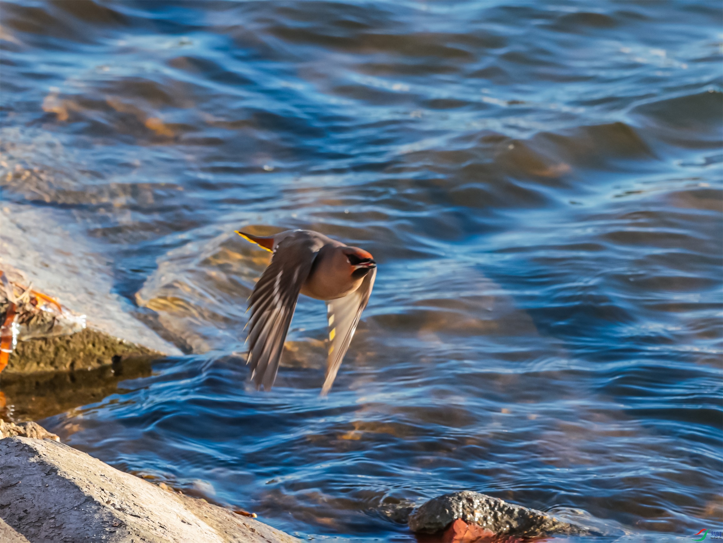 1K3A4749 ����1.jpg