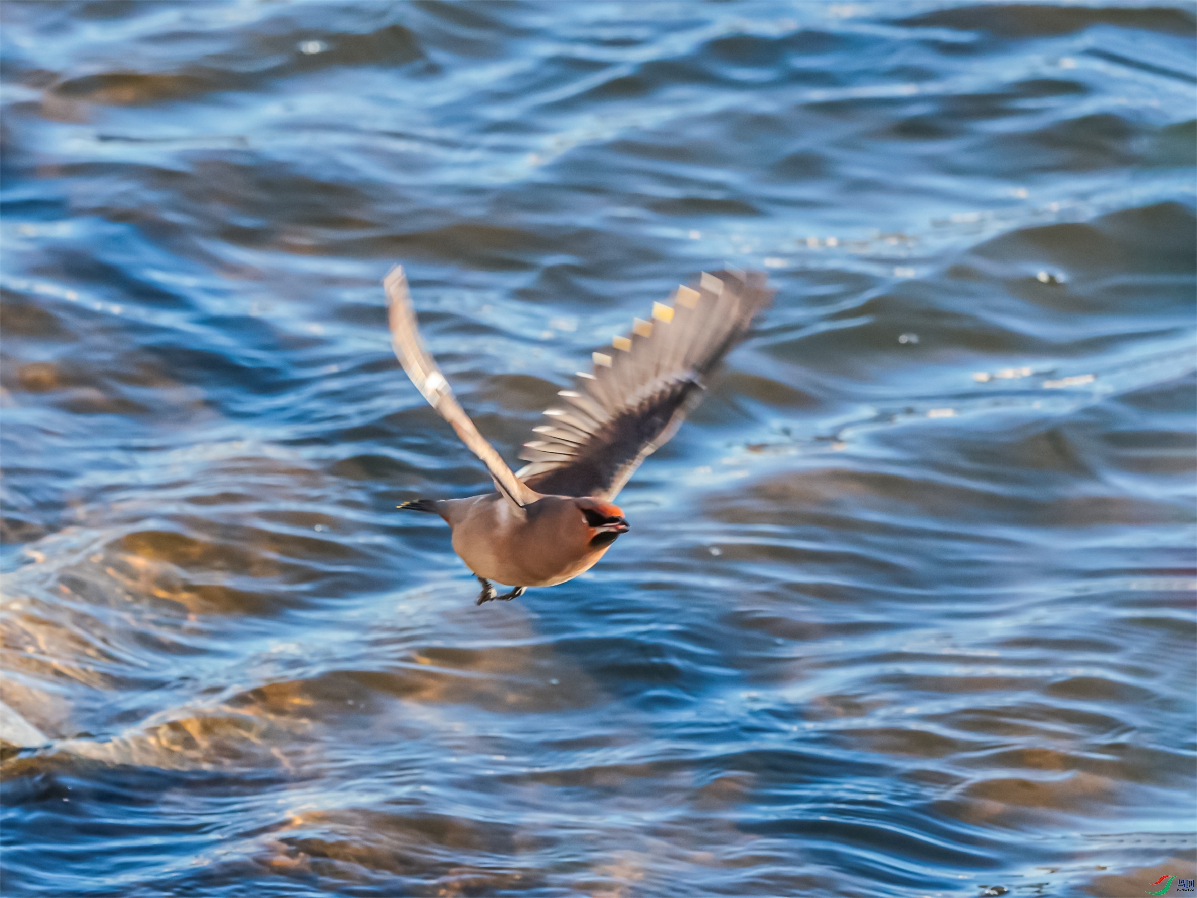 1K3A4750 ����1.jpg