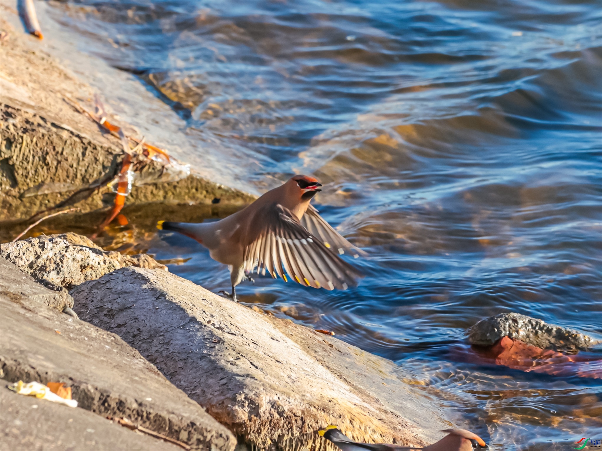 1K3A4747 ����1.jpg