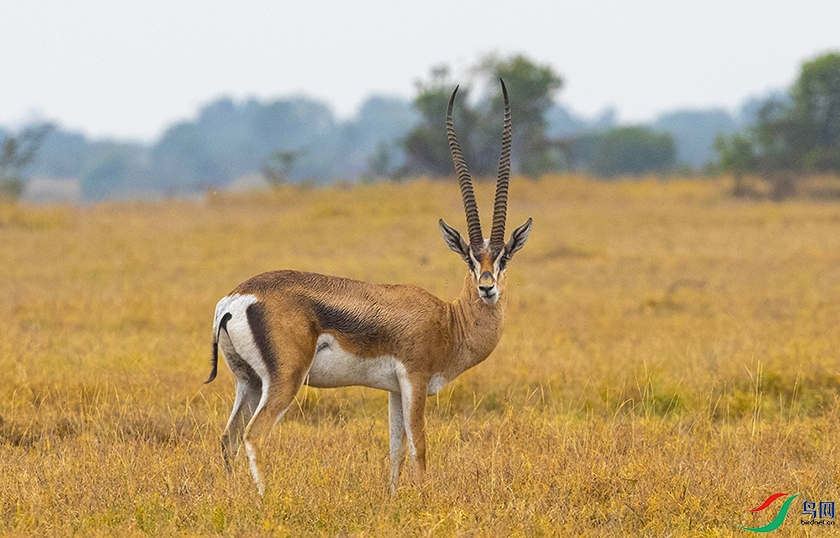 ���� (2).jpg