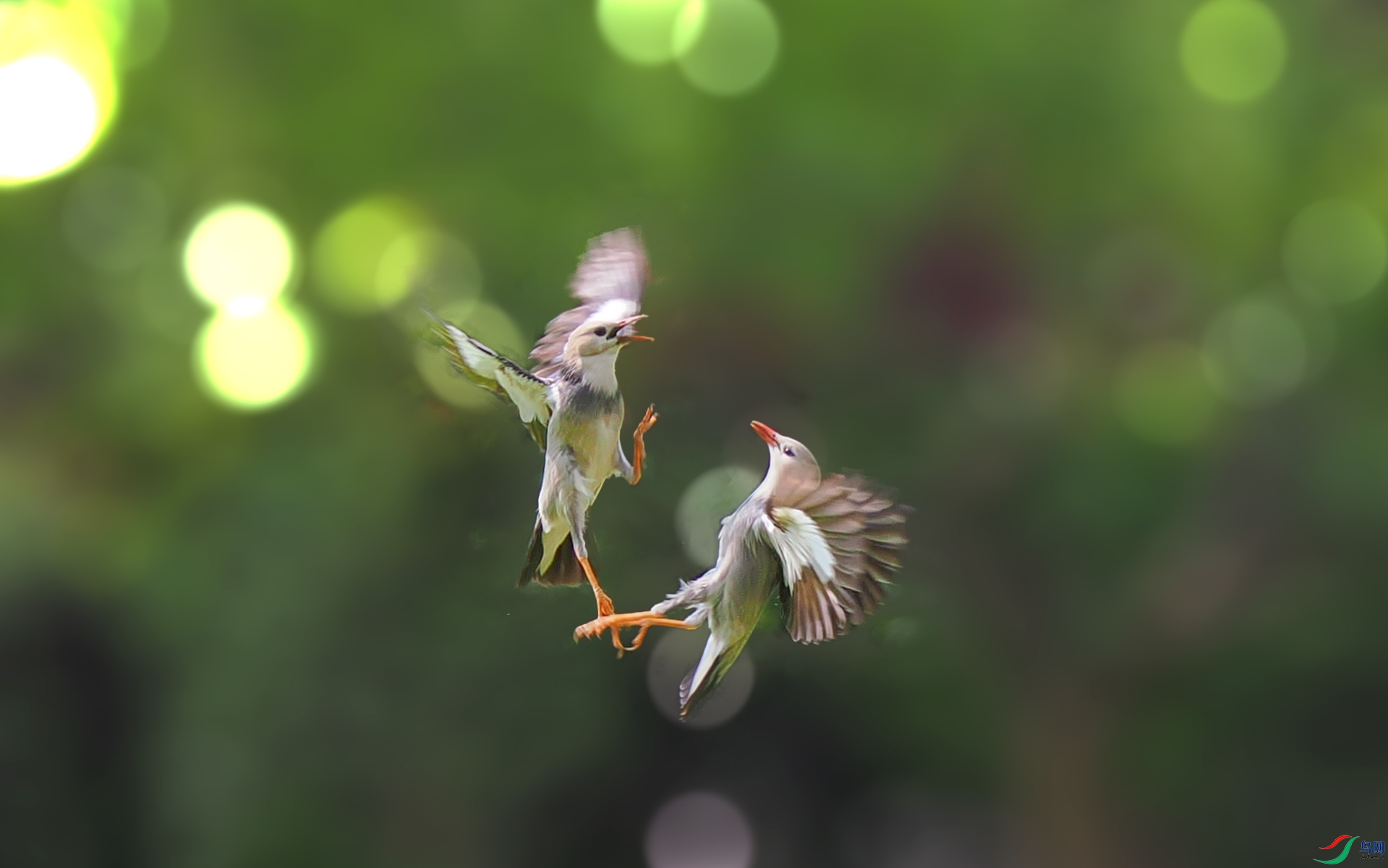 ���ְ�˹OM-1 150-400 f4.5 TC1.25x IS PRO