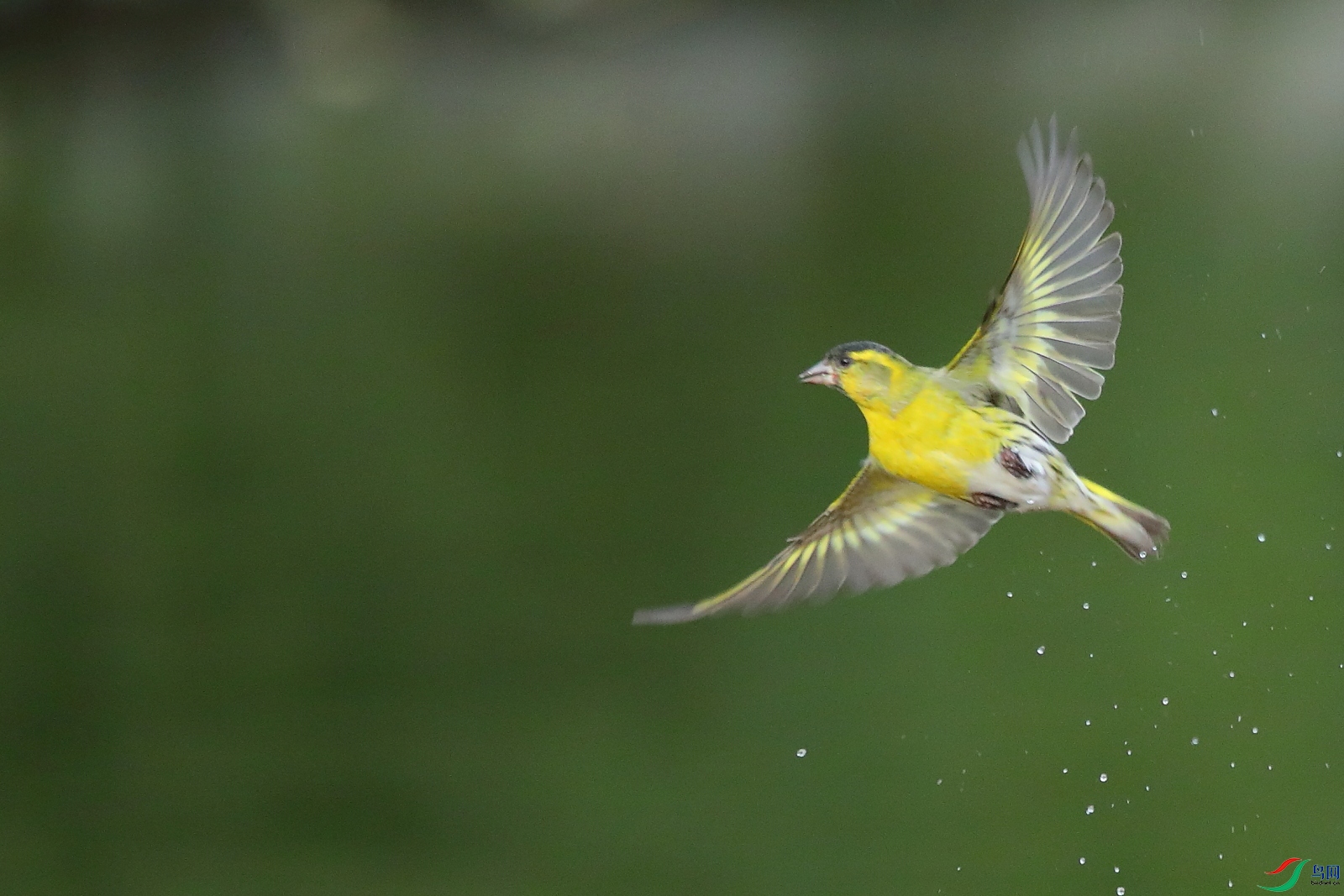 5S8A1598B - ����B.JPG