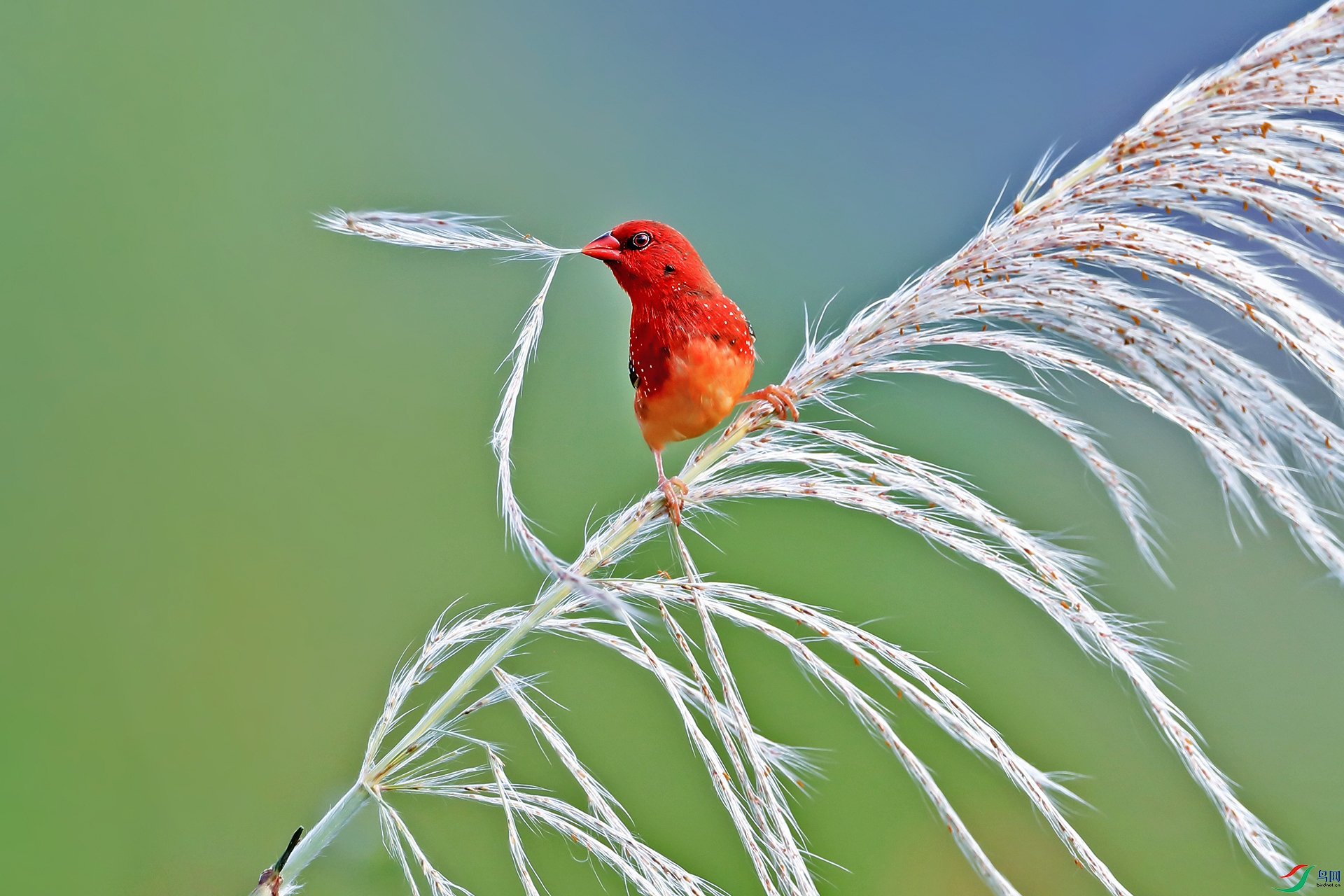 ��÷��ȸ0055-1.jpg