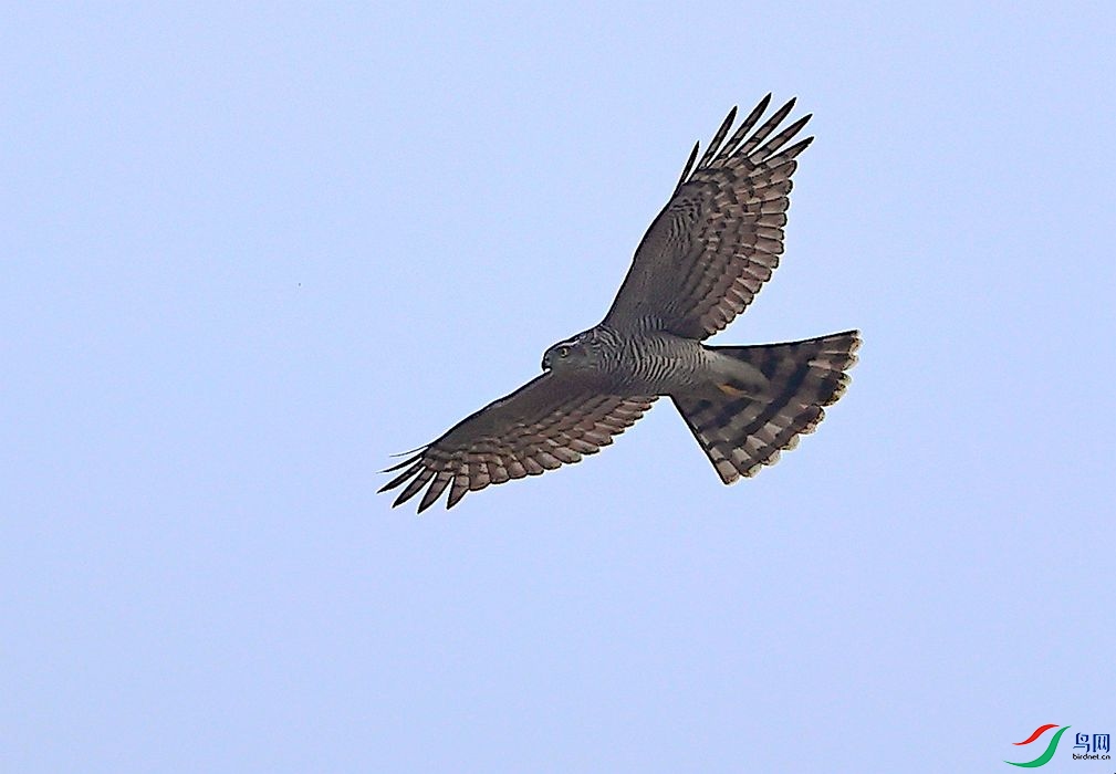 A62I9882.JPG