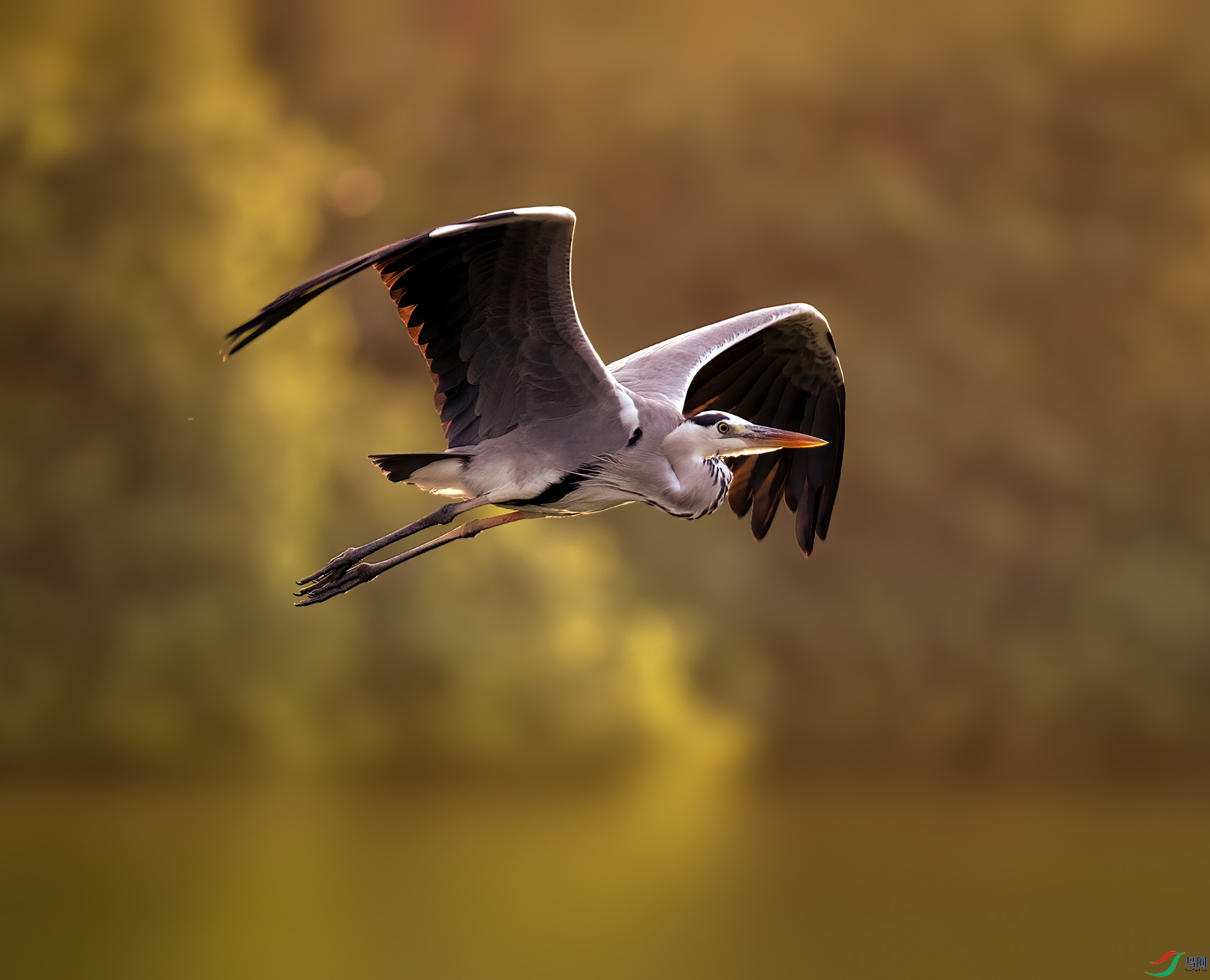 DSC_3698 ���� 2.jpg