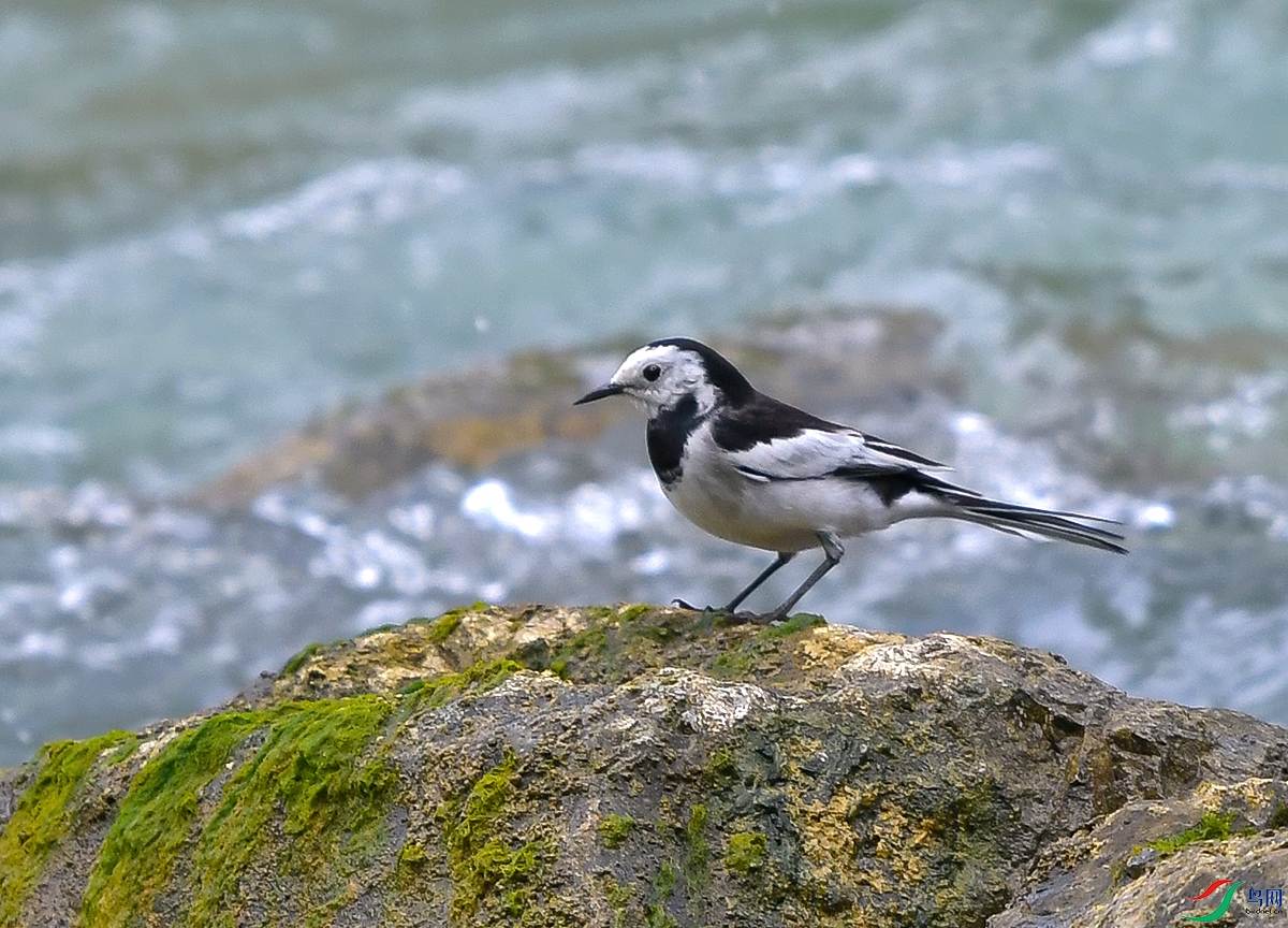 DSC_0716.JPG
