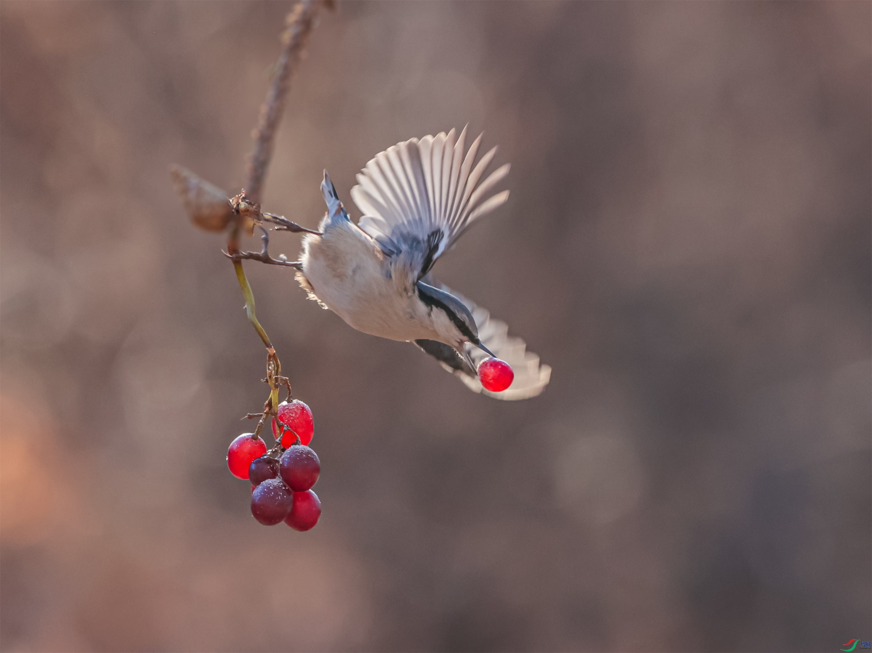 1K3A5939 ����1.jpg