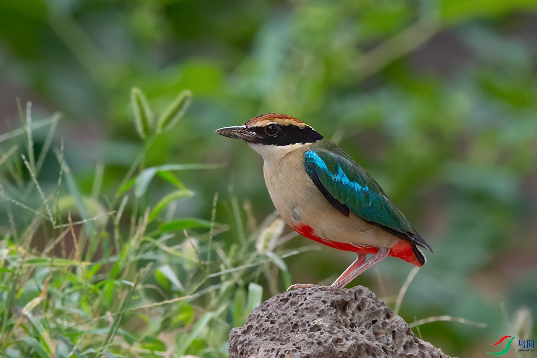 DSC_7391_DxOa.jpg