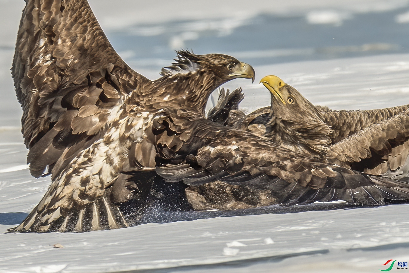 DSC_1501-a2.jpg