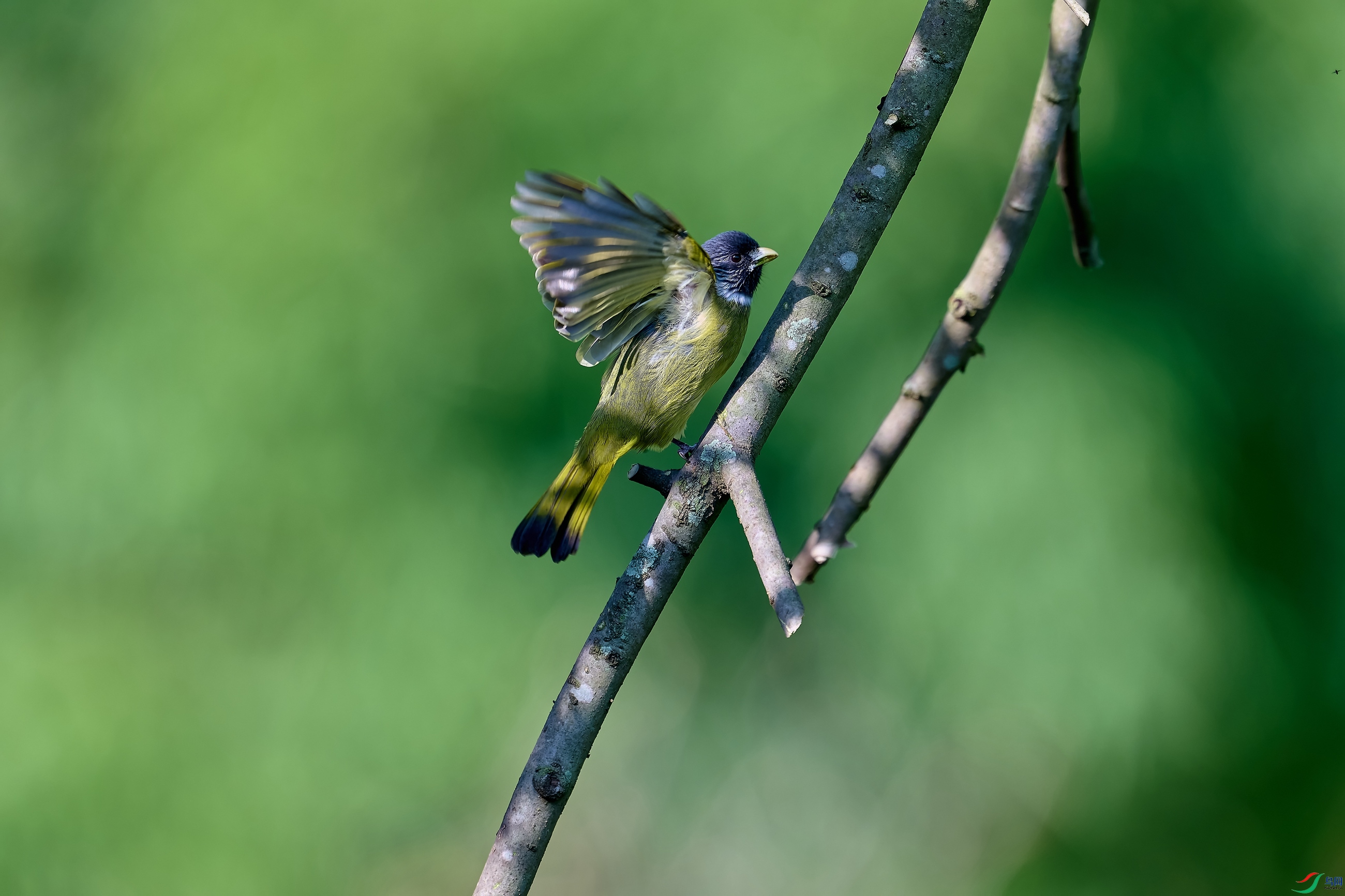 DSC_2496-NEF.jpg