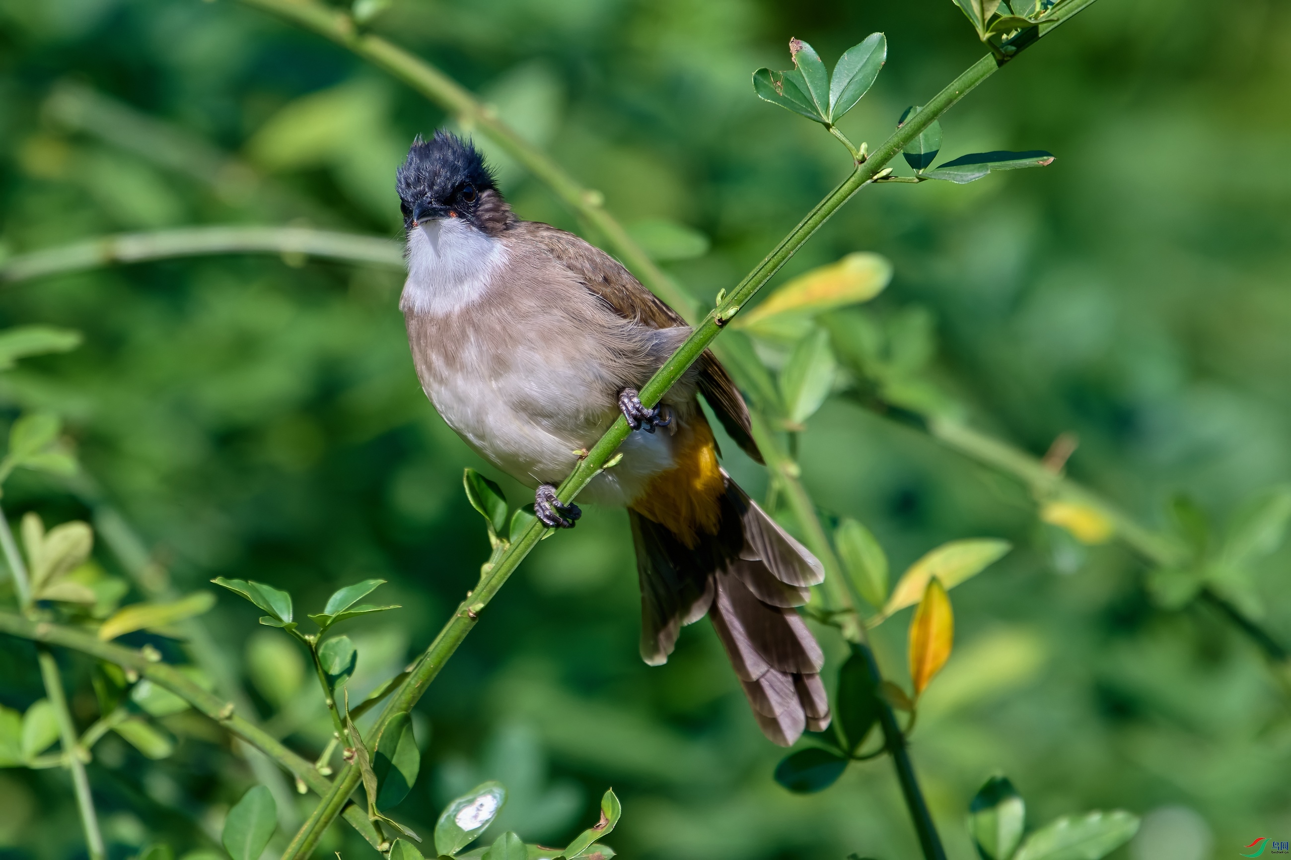 DSC_3042-NEF.jpg