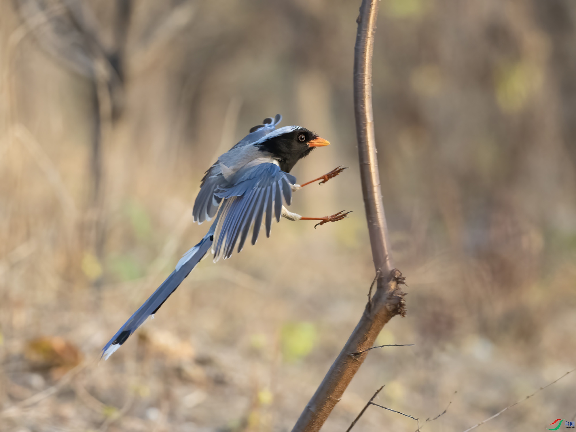 ������ȵ ����.jpg