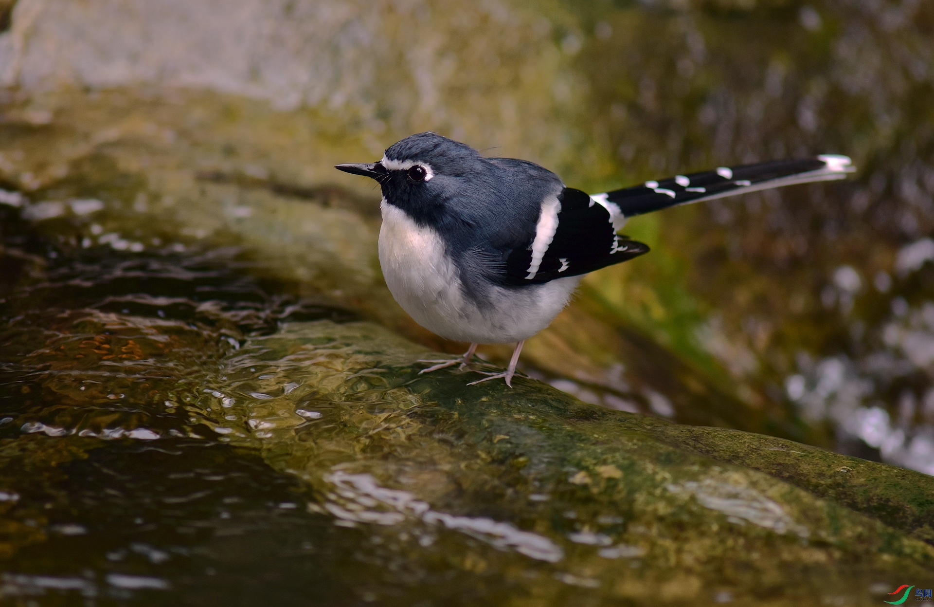D8I_3252.jpg