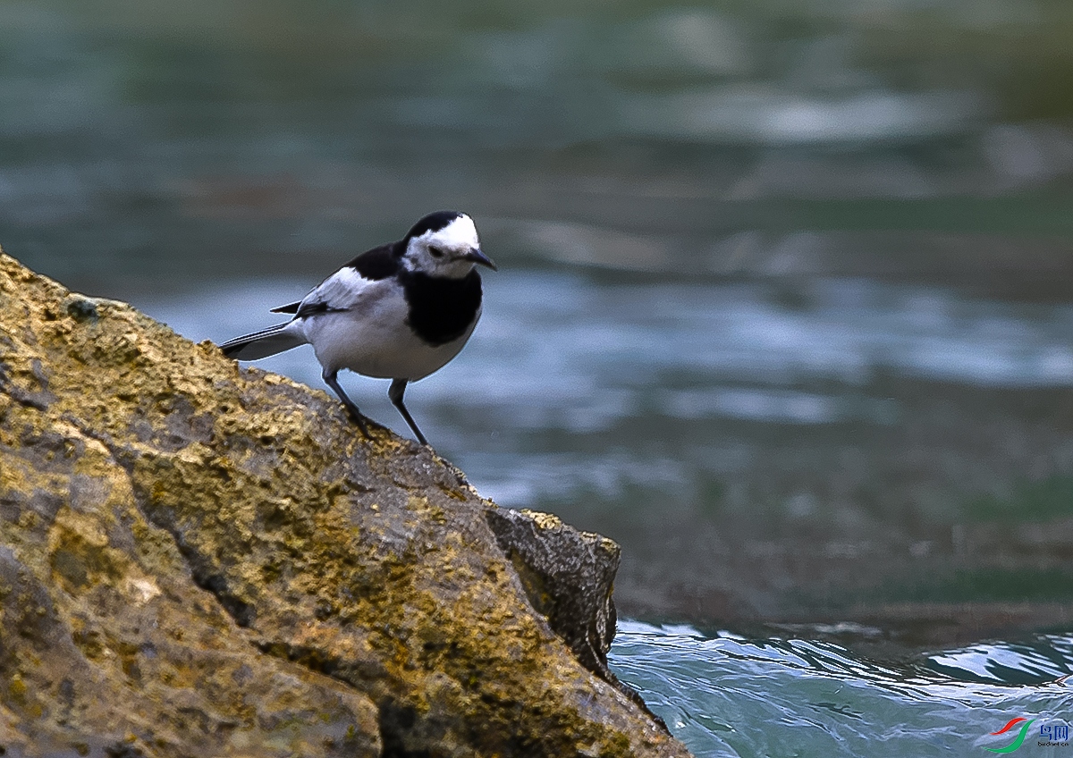 DSC_0945.JPG