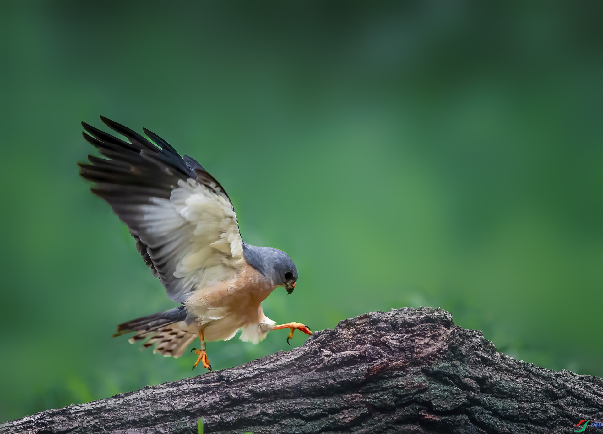 547A6436 ����.jpg