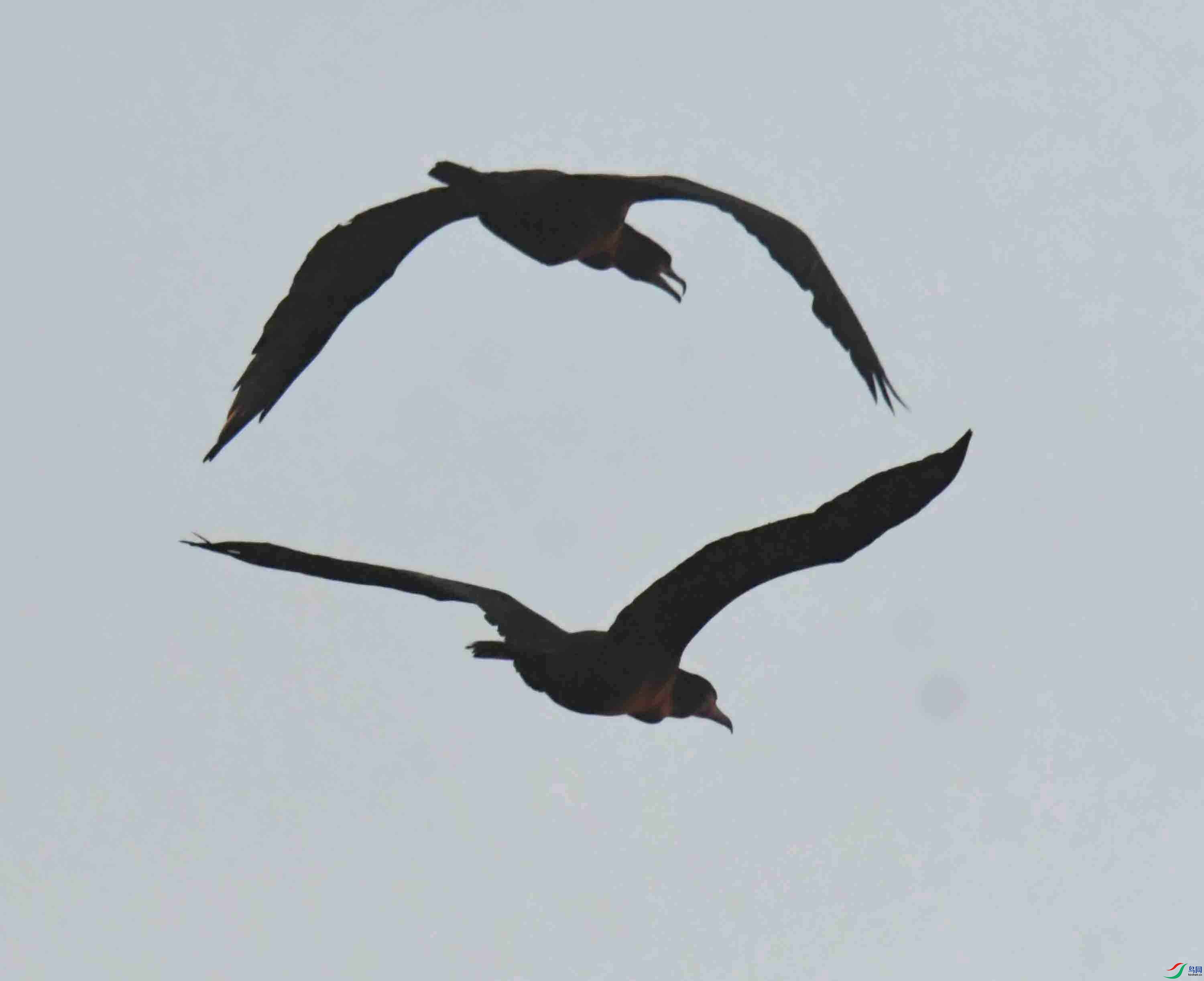 DSC_0286.JPG