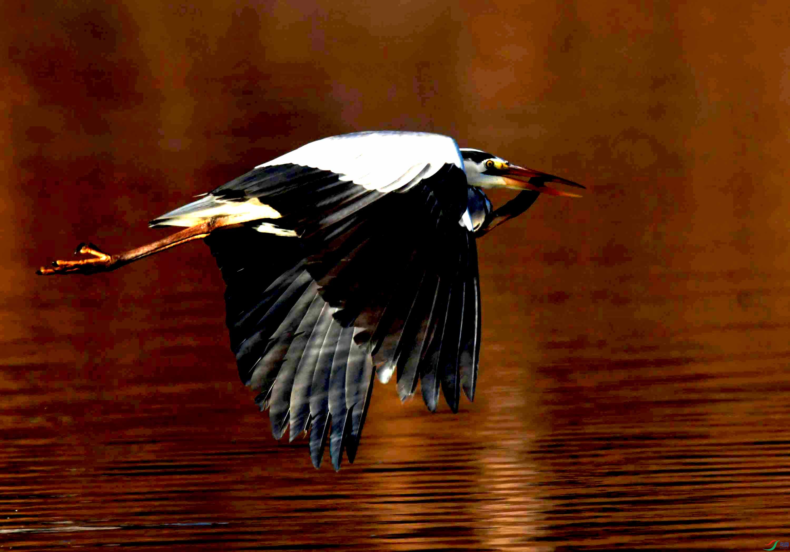 DSC_0144.JPG