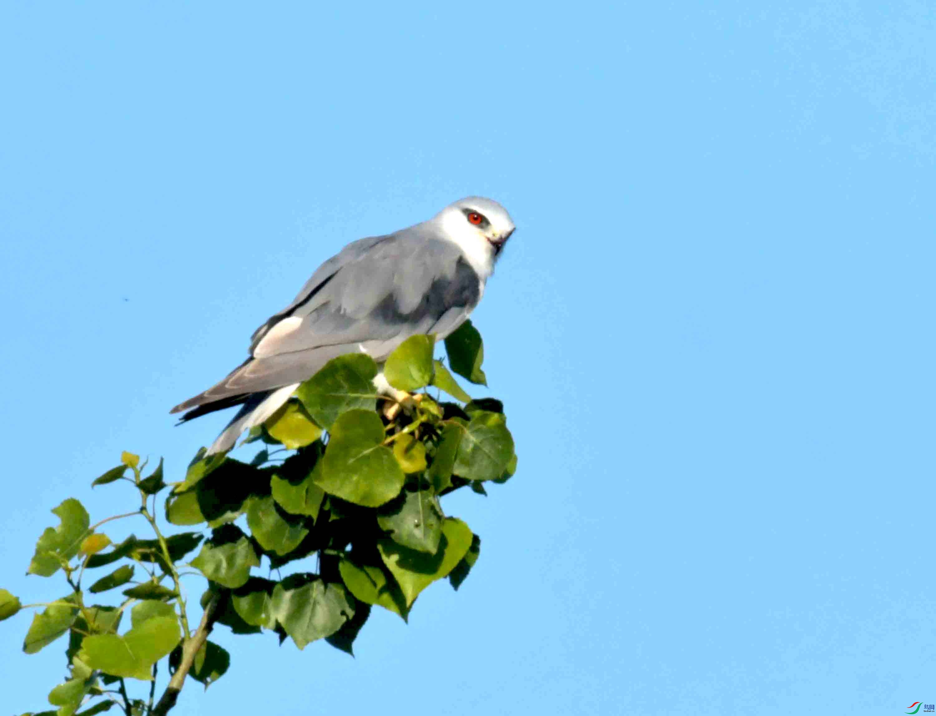 DSC_0675.JPG