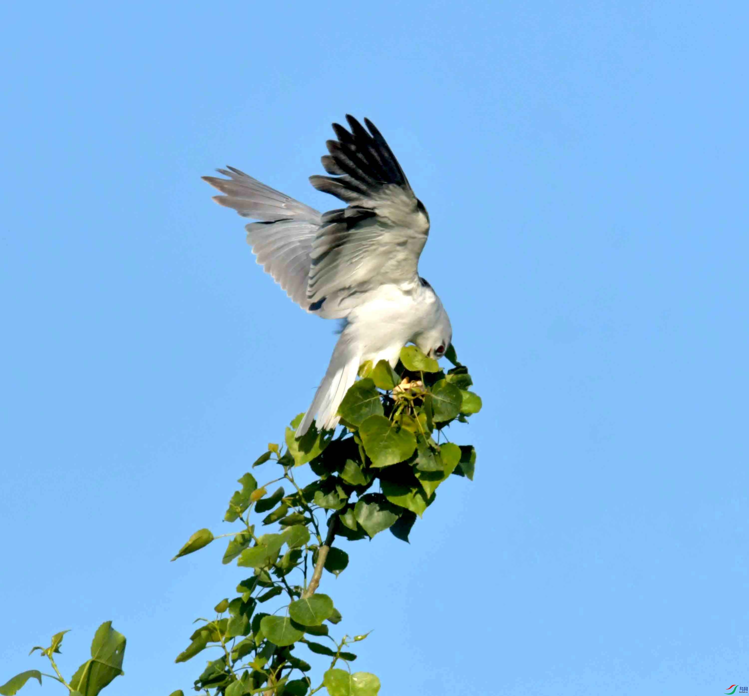 DSC_0682.JPG