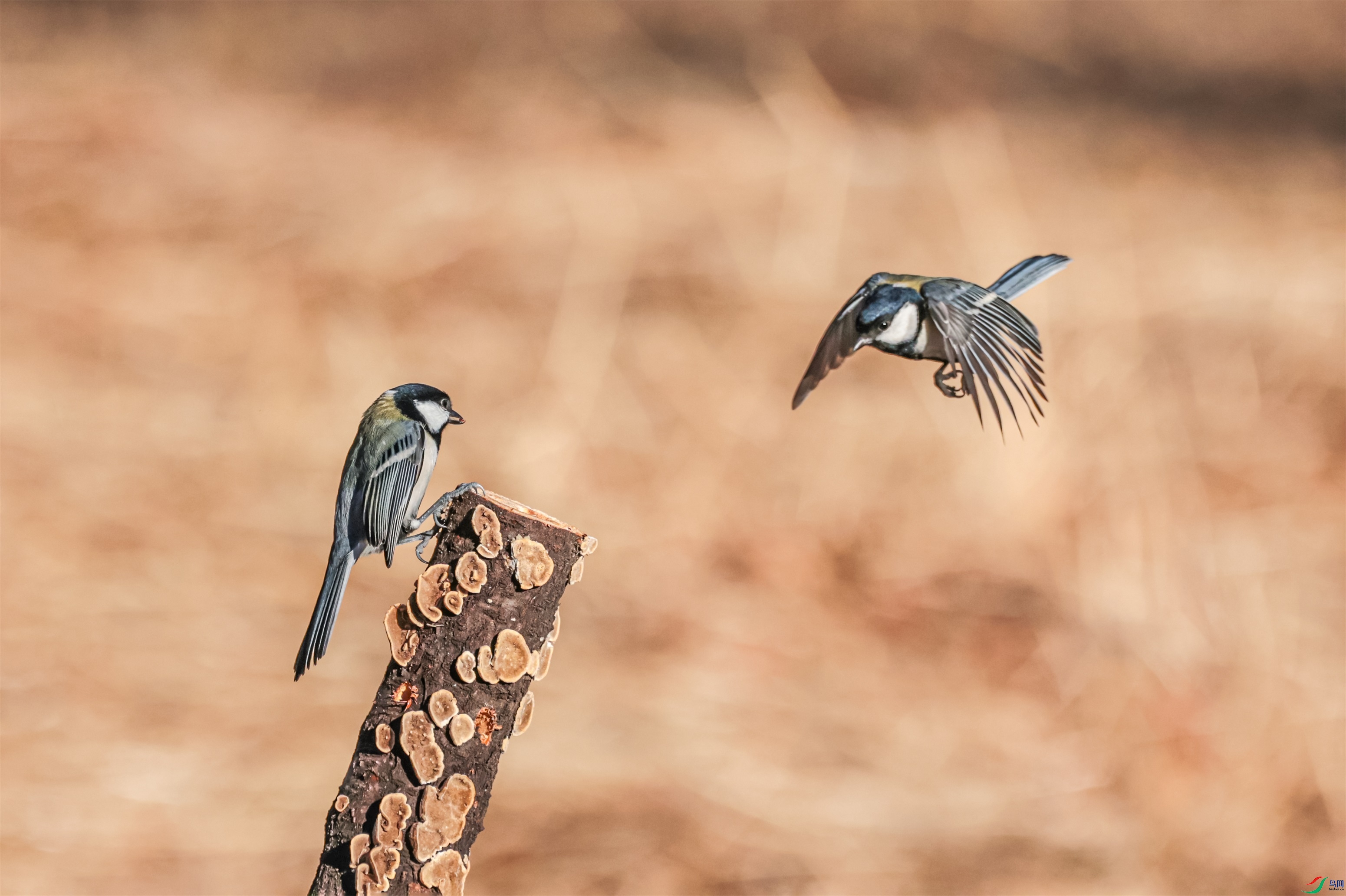 1K3A6540 ����1.jpg