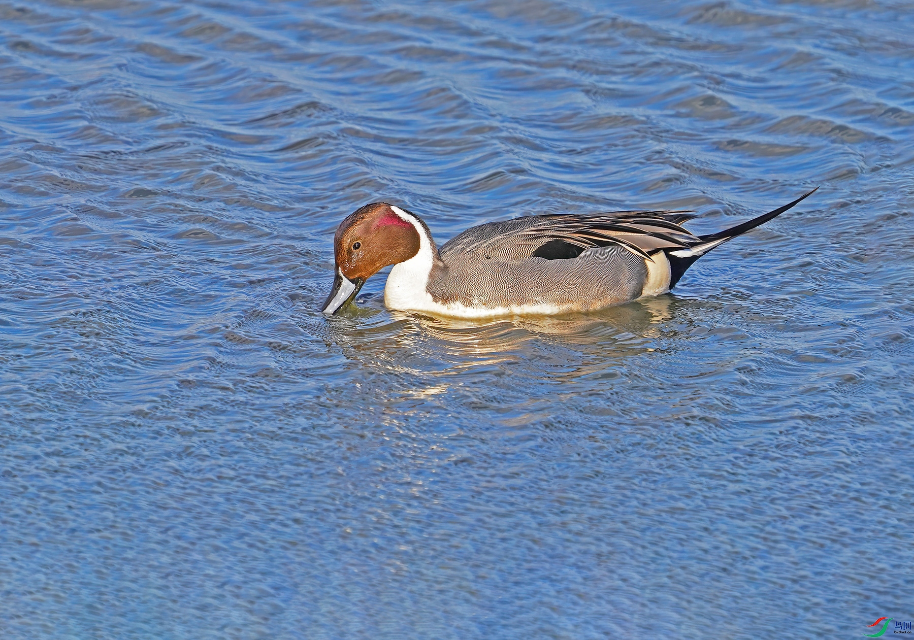 DSC05217--.jpg