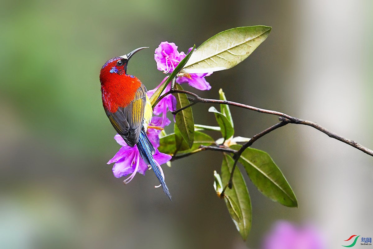 DSC_0065_conew1.jpg