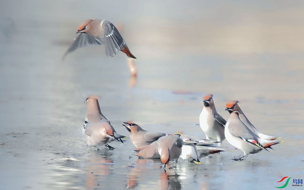 098A0532__.jpg