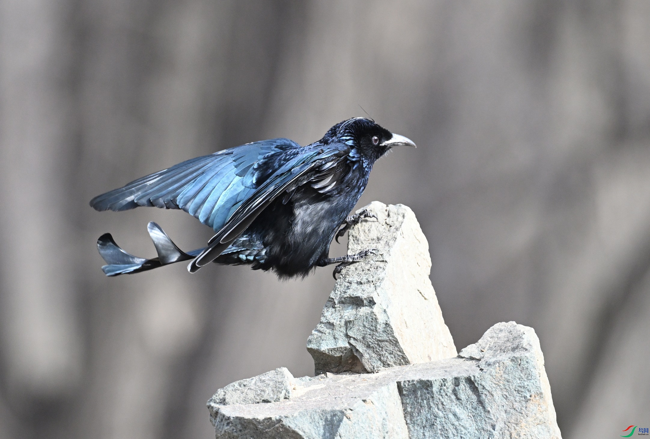 DSC_4319.JPG