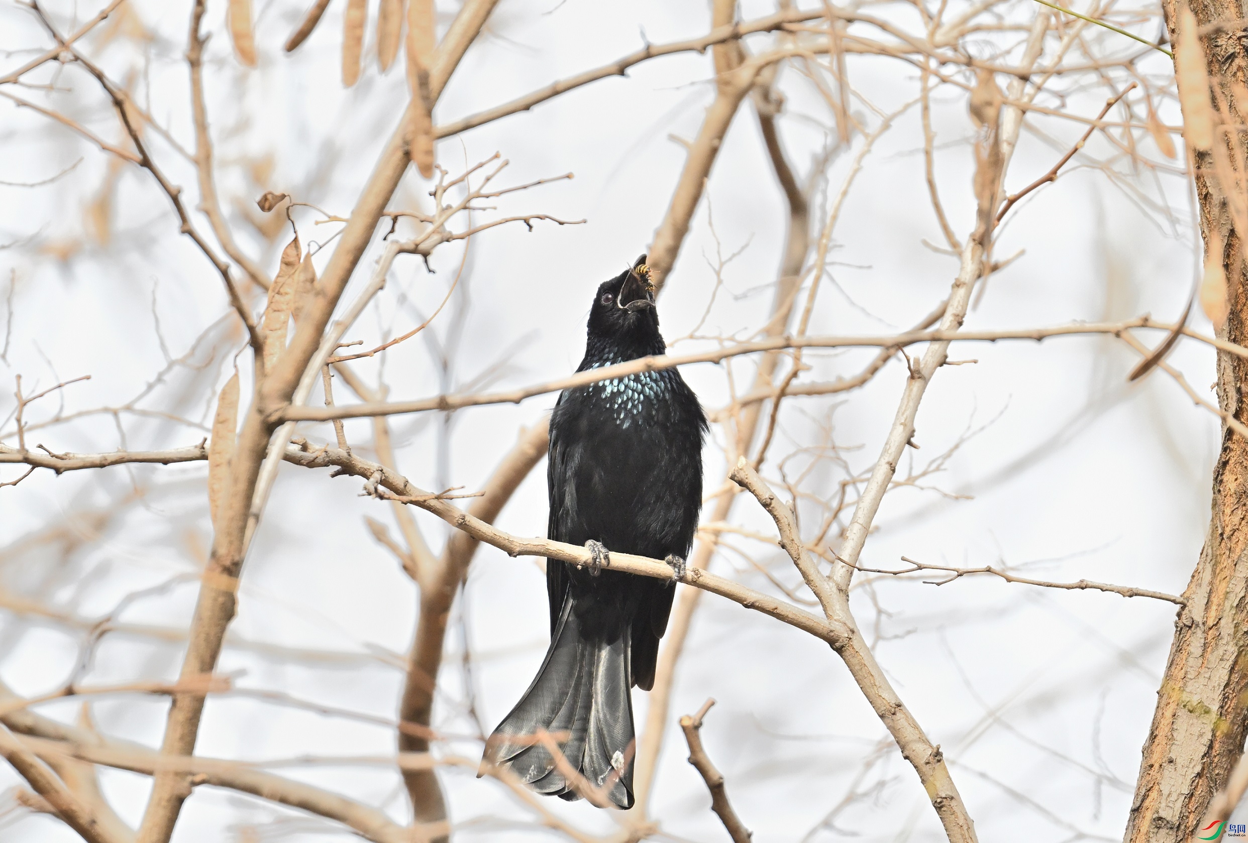 DSC_4571.JPG