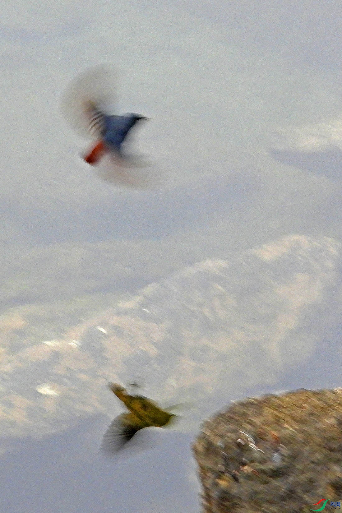 DSCN0706.jpg