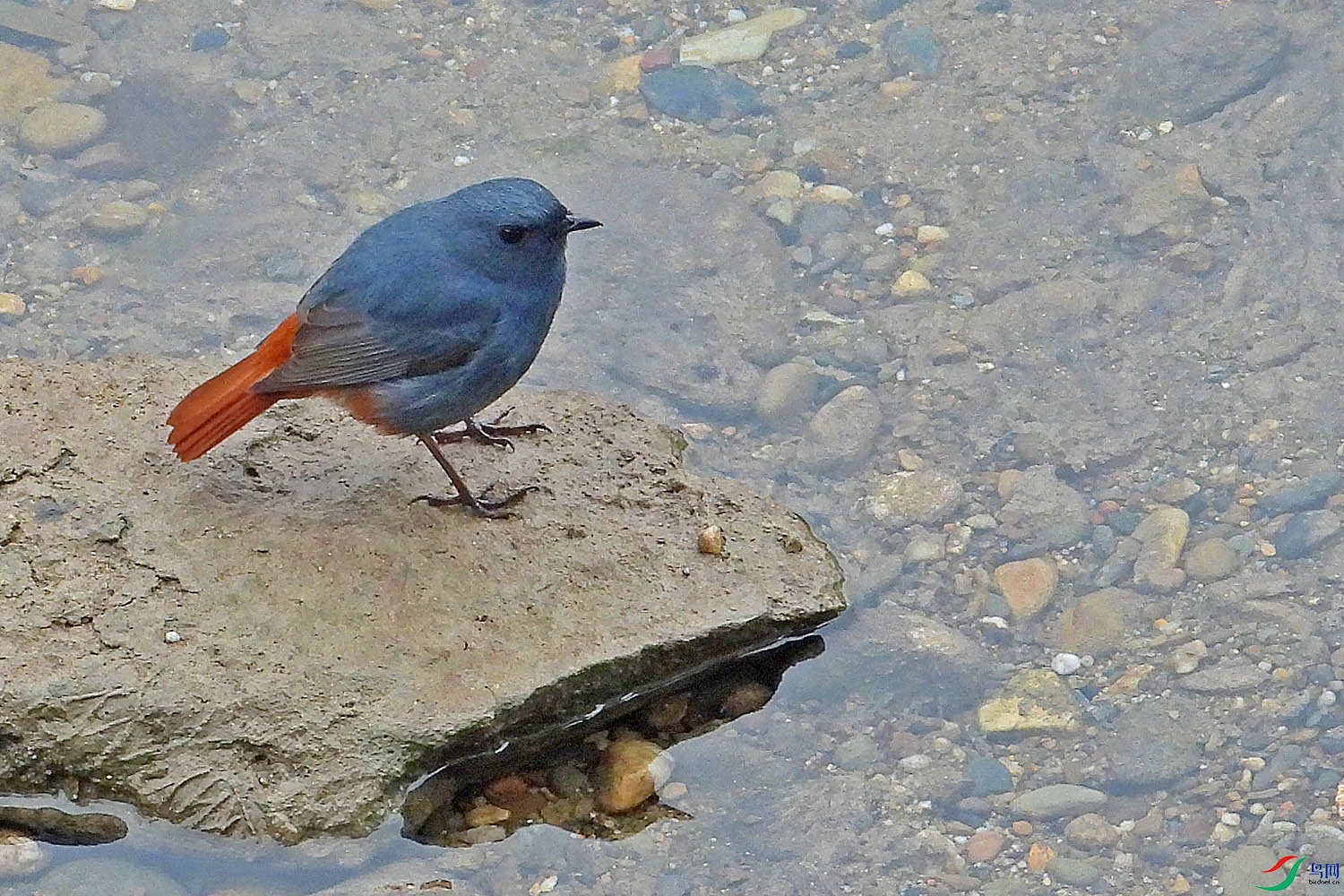 DSCN0677.jpg