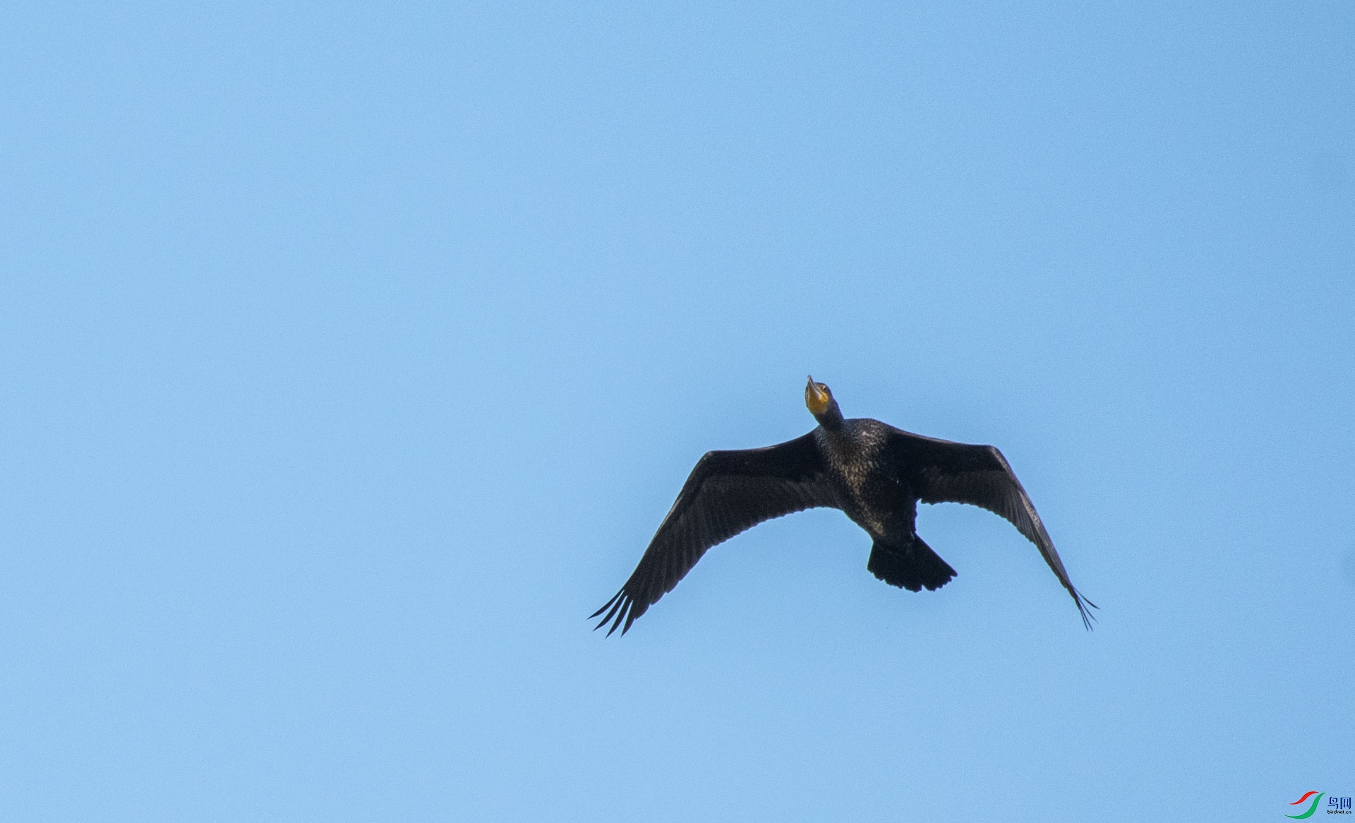 DSC_3159.jpg