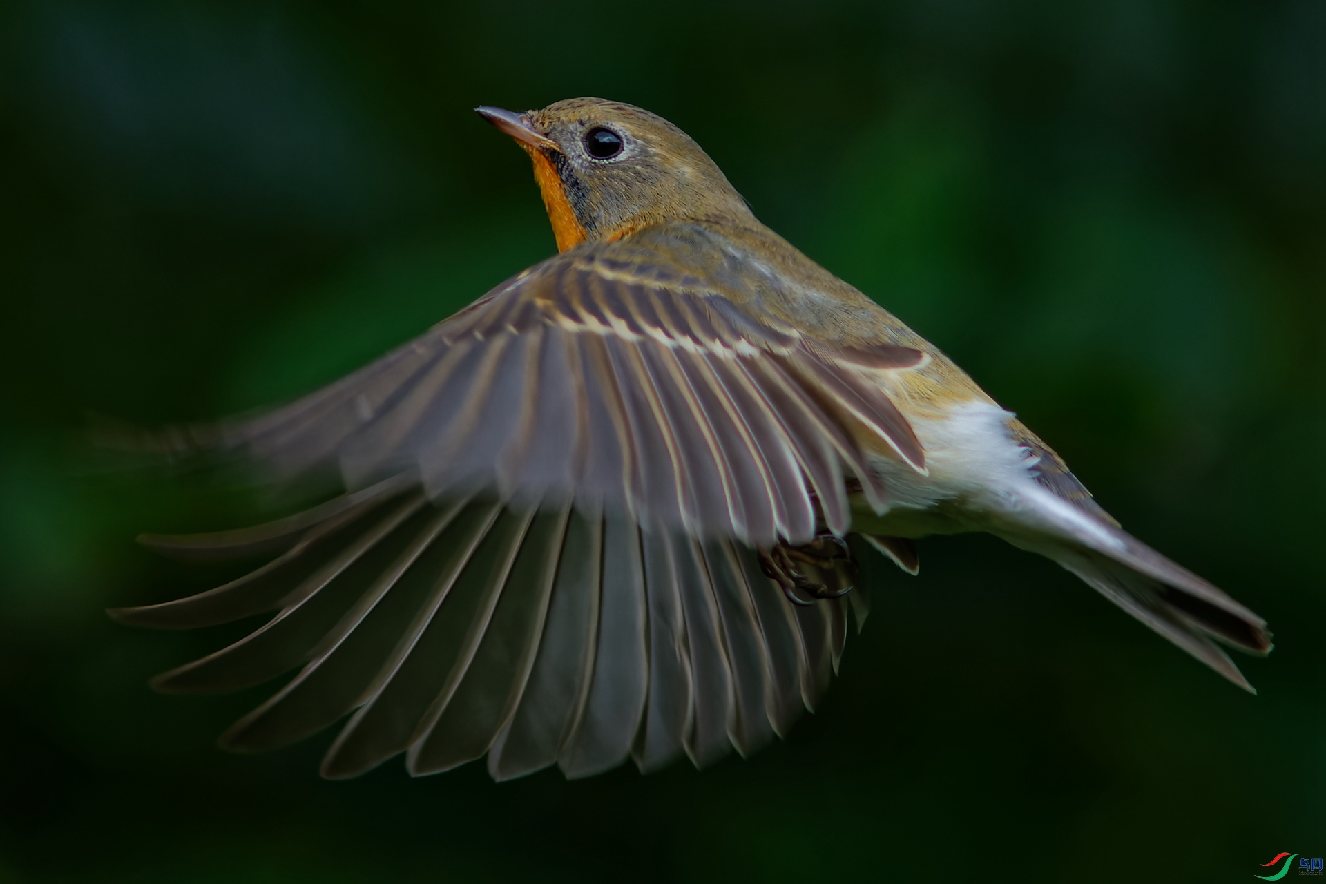 IMG_3283_DxO - ����.jpg