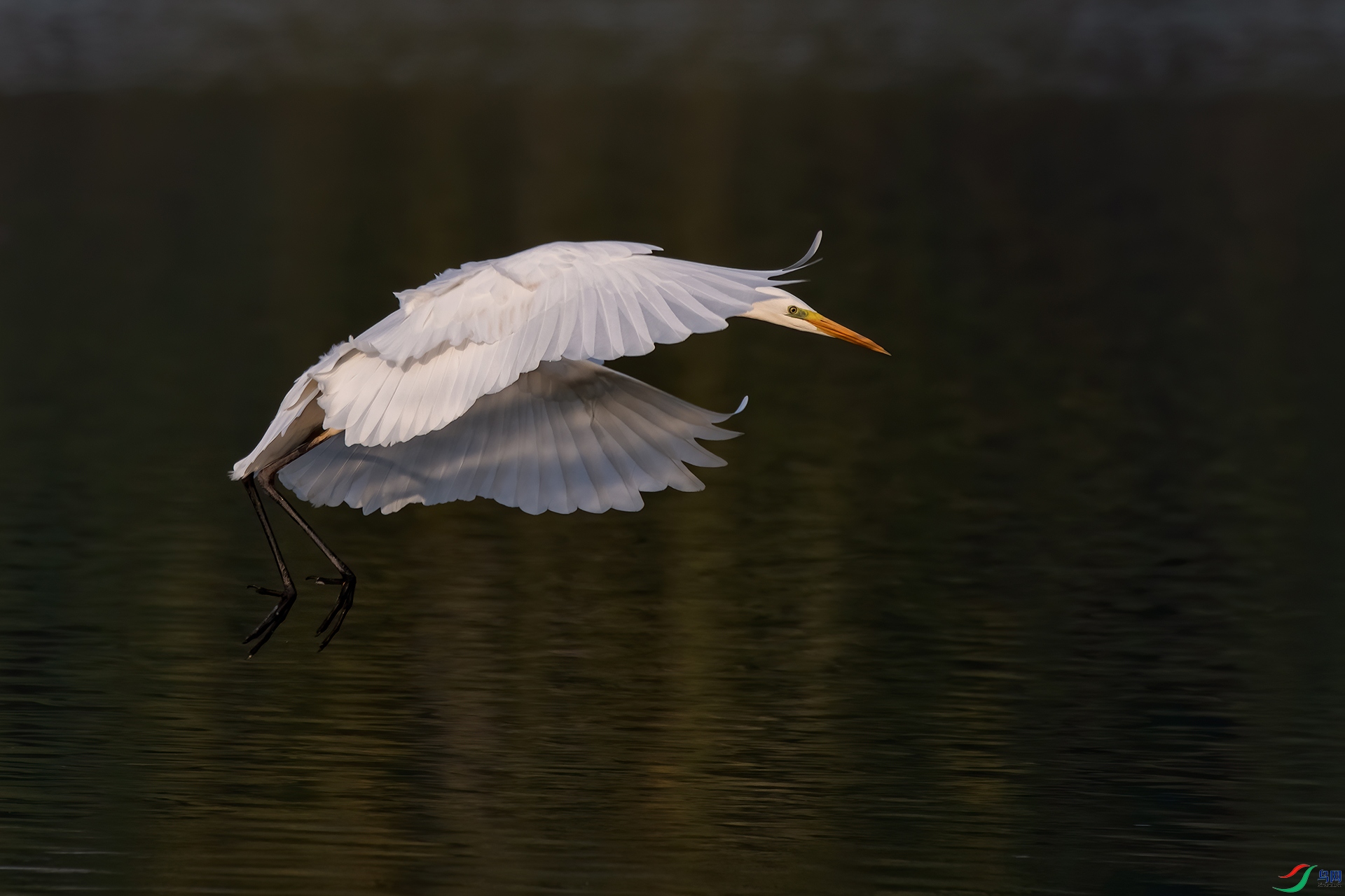 DSC_0695-20221016�ü� .jpg