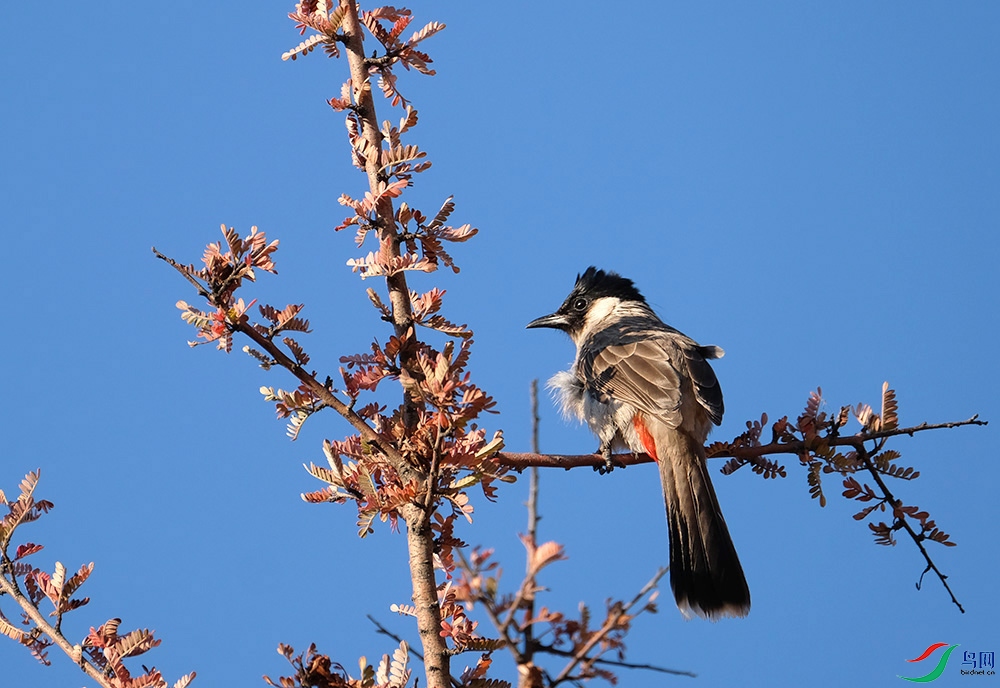 DSCF6830.1.jpg