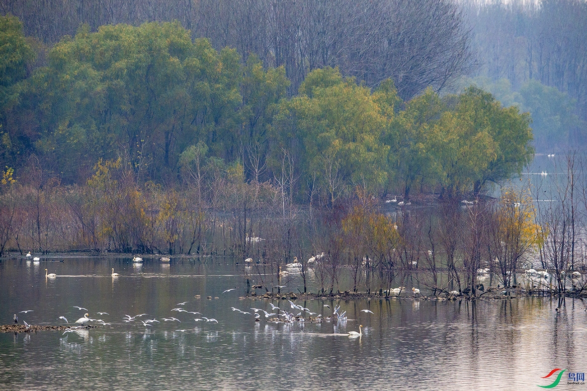 BA2Y6978.jpg