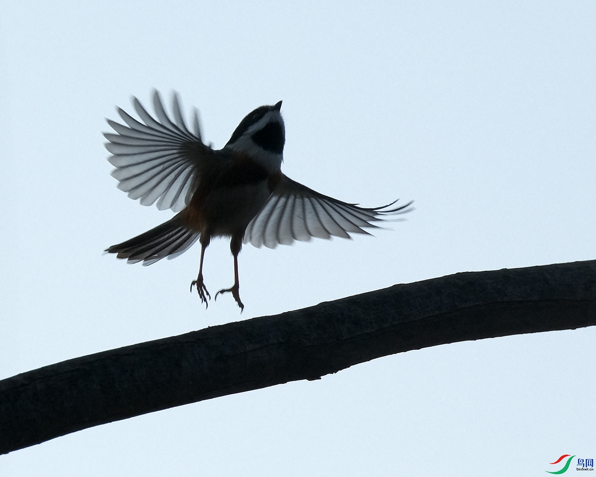 DSCF2145.JPG