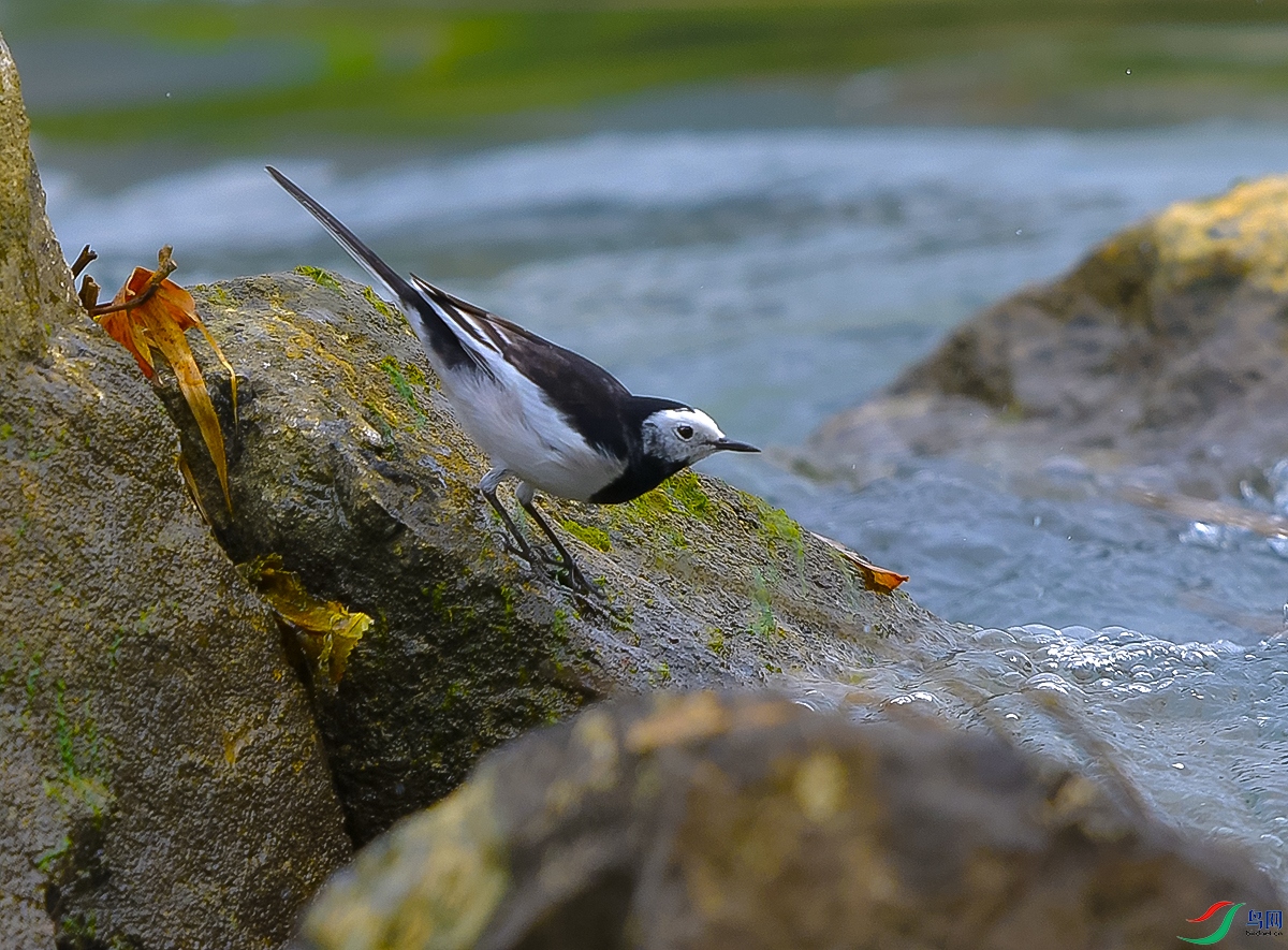 DSC_0757.JPG