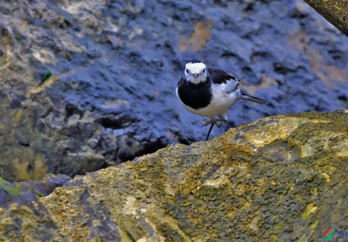 DSC_0789.JPG