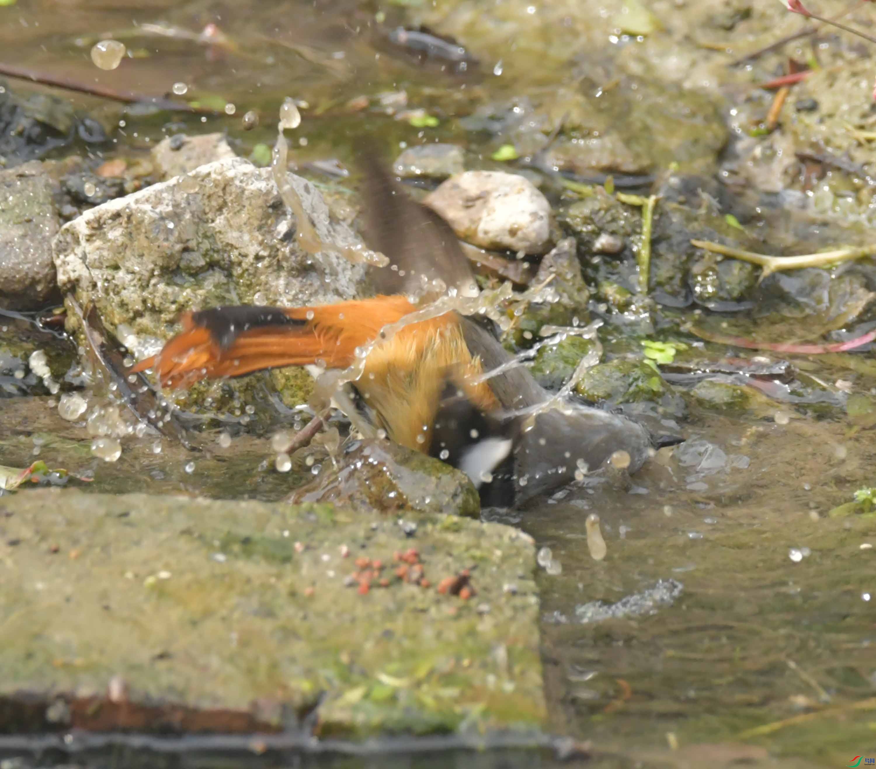 DSC_8652.JPG