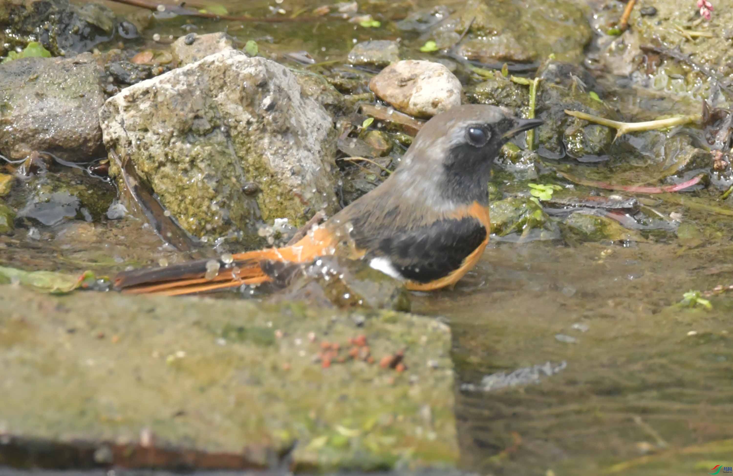 DSC_8654.JPG