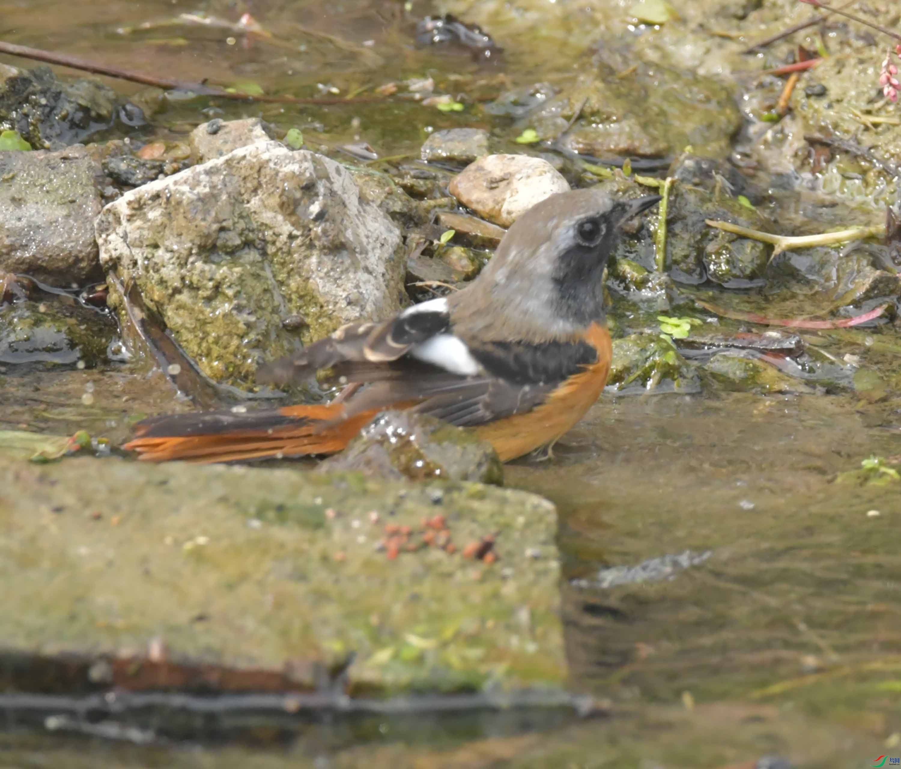DSC_8655.JPG