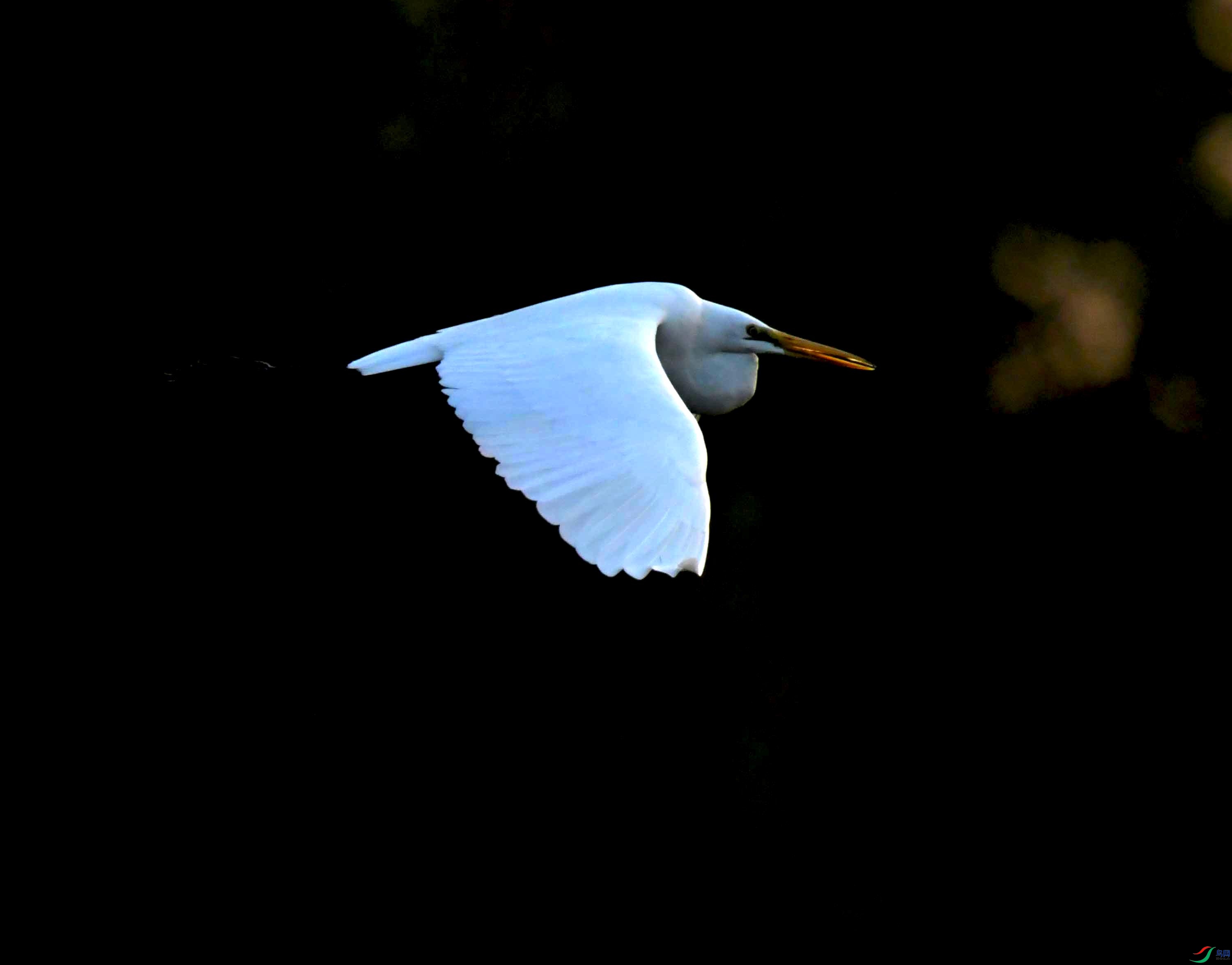 DSC_0598.JPG