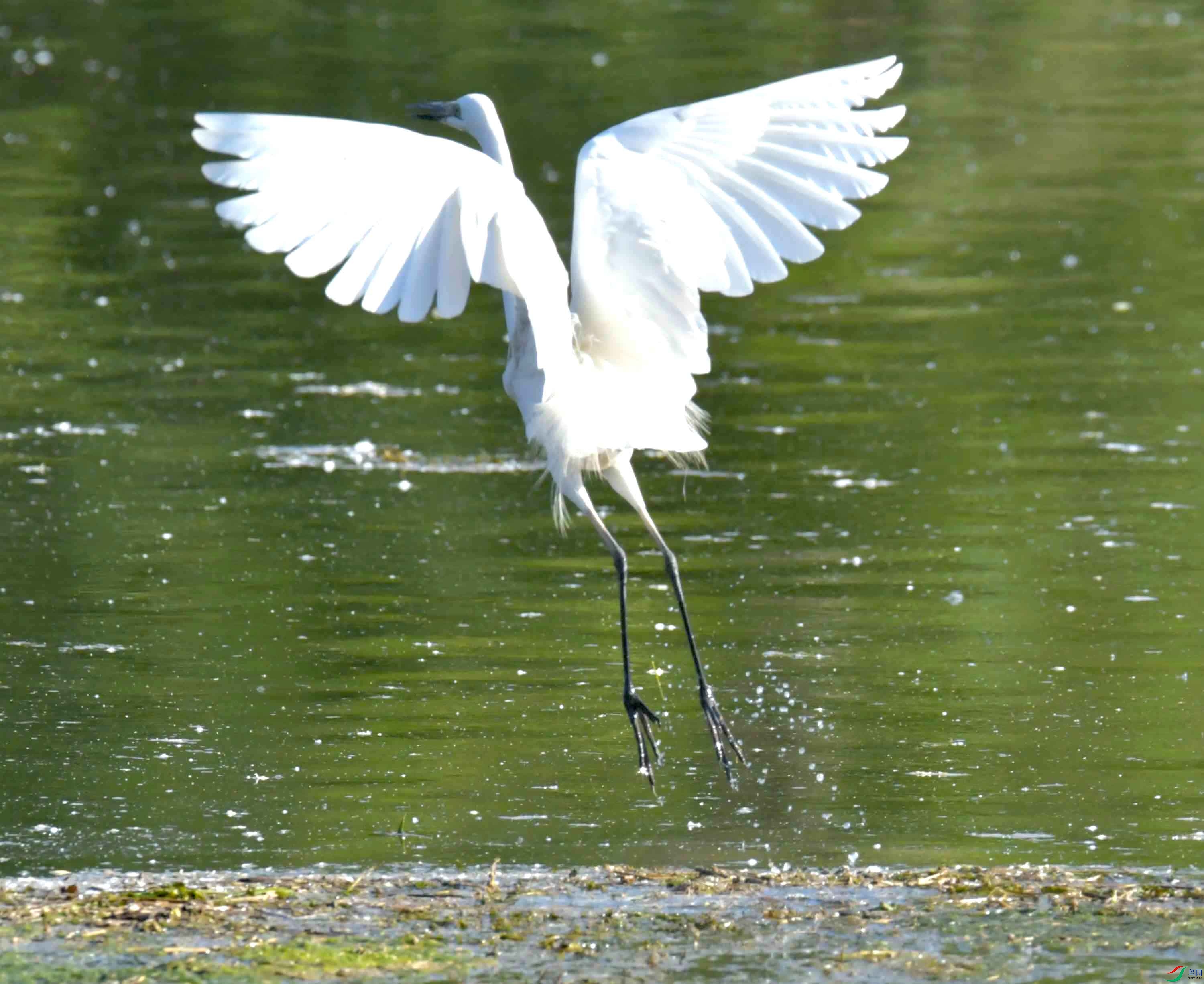 DSC_9433.JPG