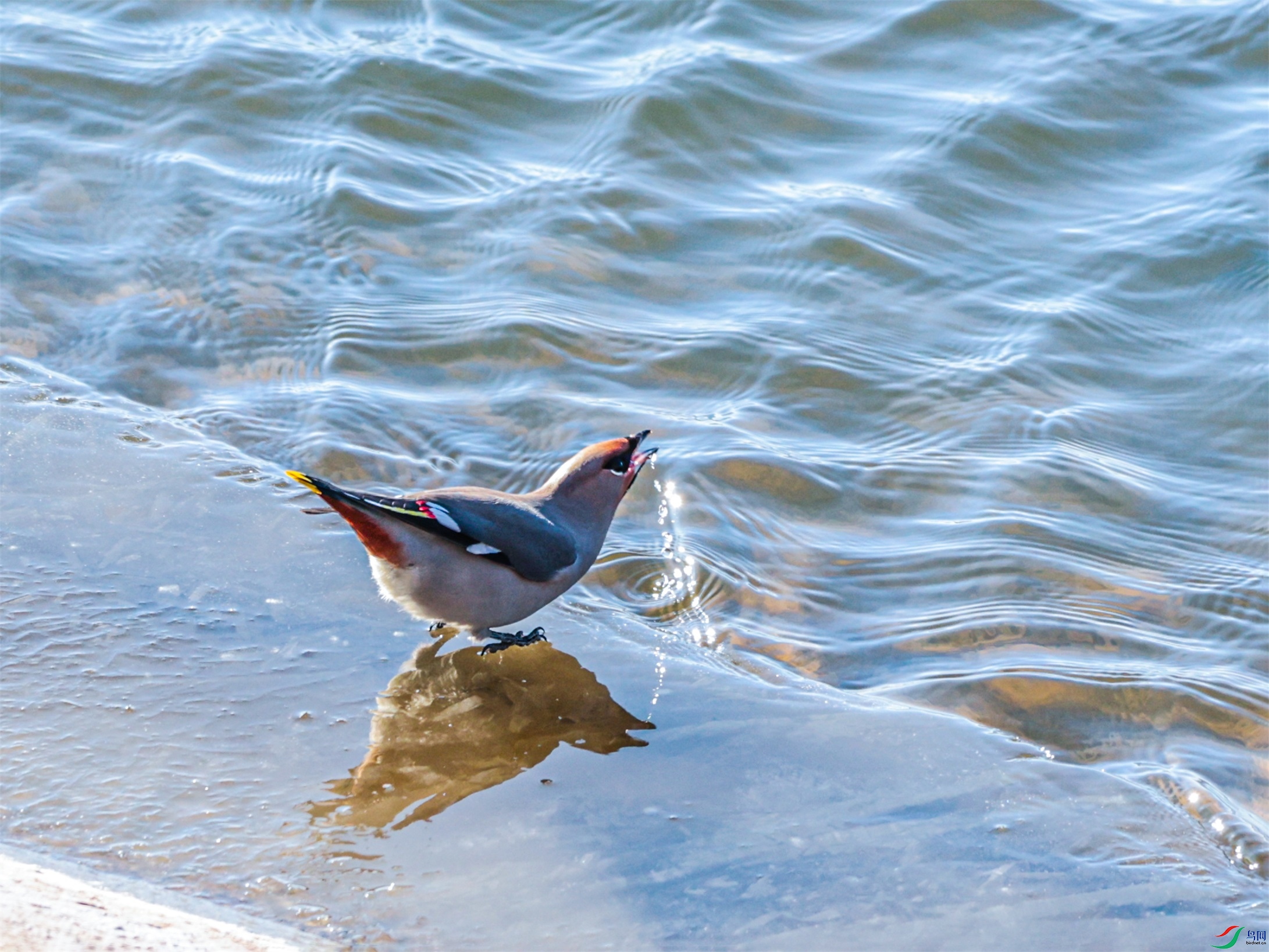 1K3A5362 ����1.jpg