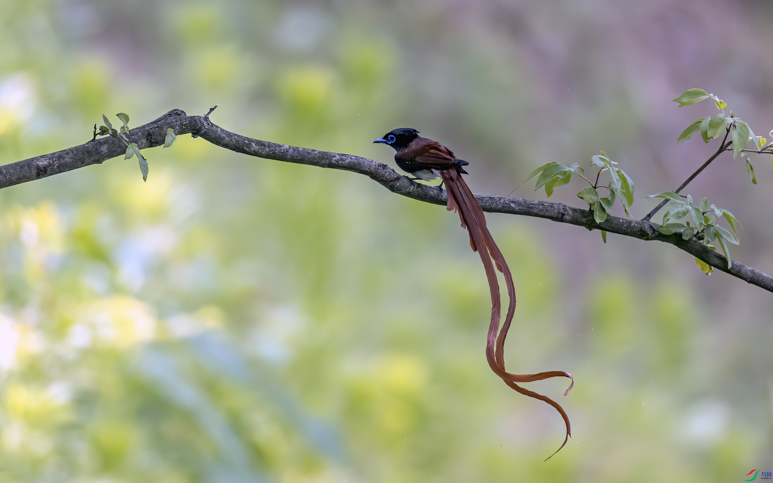 _32I4263 ���� 2.jpg