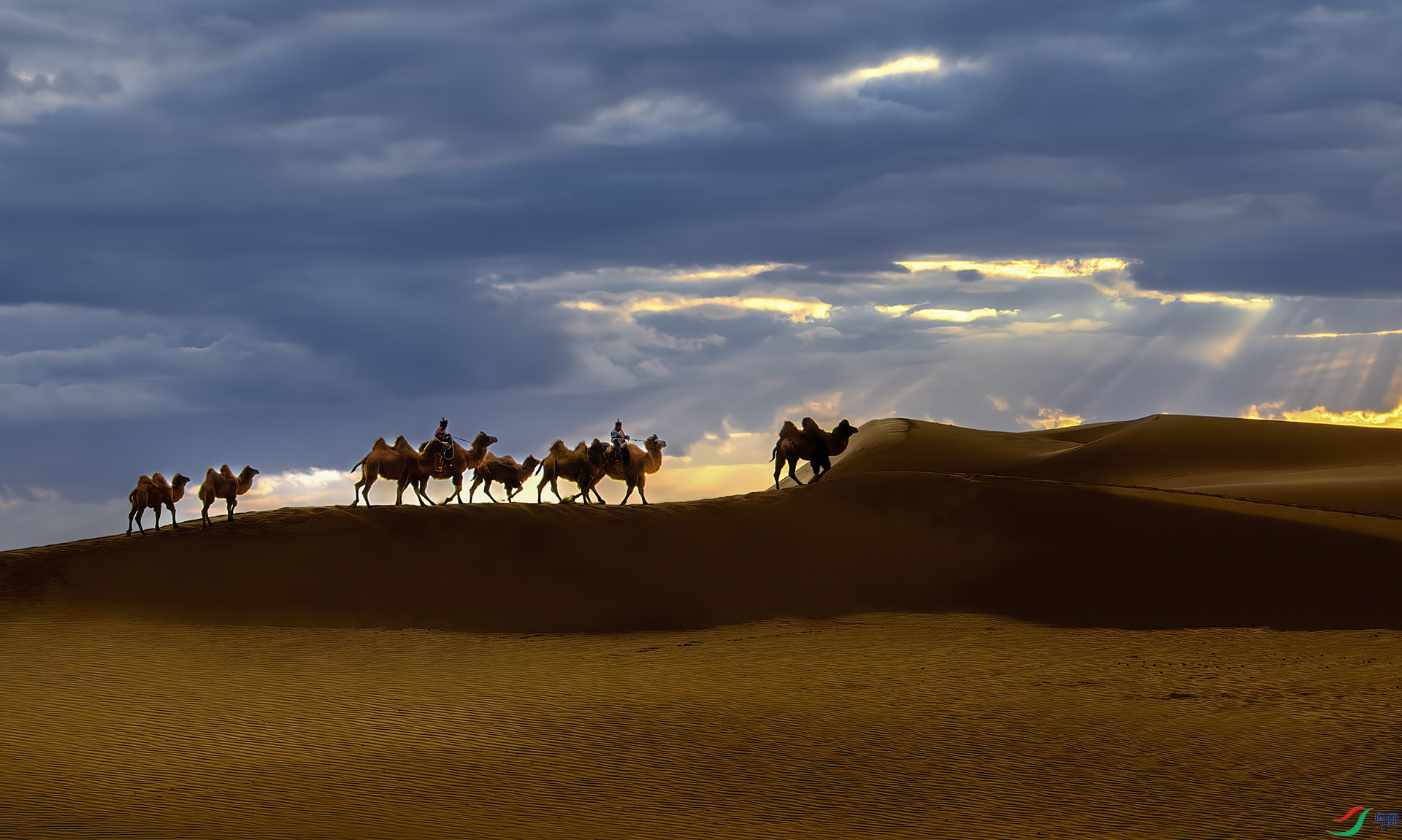 _DSC1349-NEF_DxO_DeepPRIME - ��;.jpg